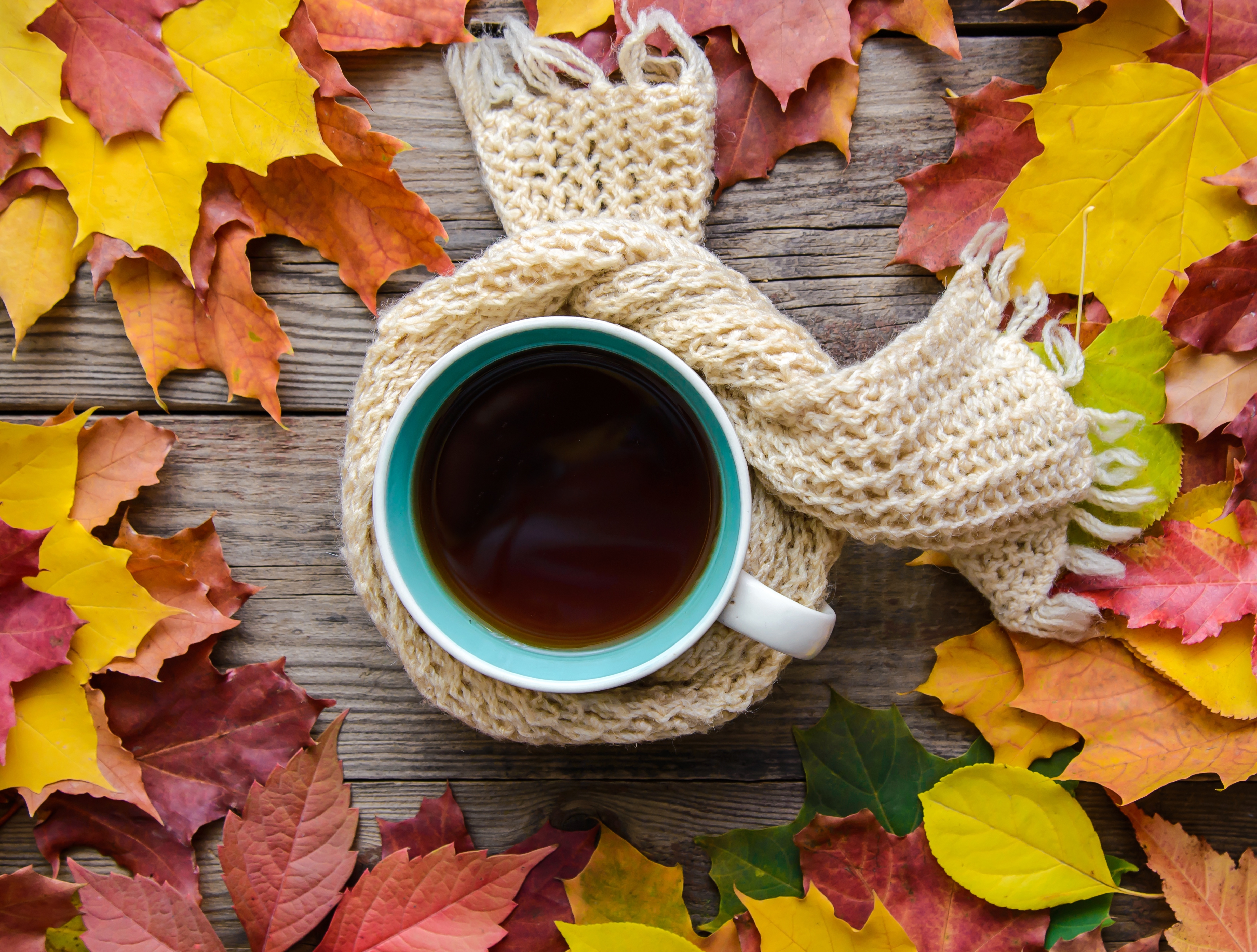 Handy-Wallpaper Herbst, Tasse, Blatt, Nahrungsmittel, Stillleben, Getränk, Kaffee kostenlos herunterladen.
