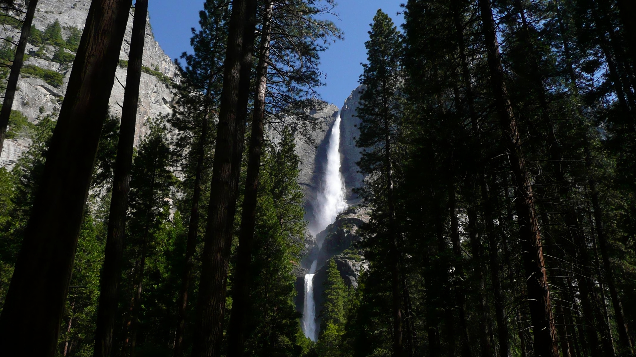 Download mobile wallpaper Waterfalls, Waterfall, Forest, Tree, Earth, Yosemite Falls for free.