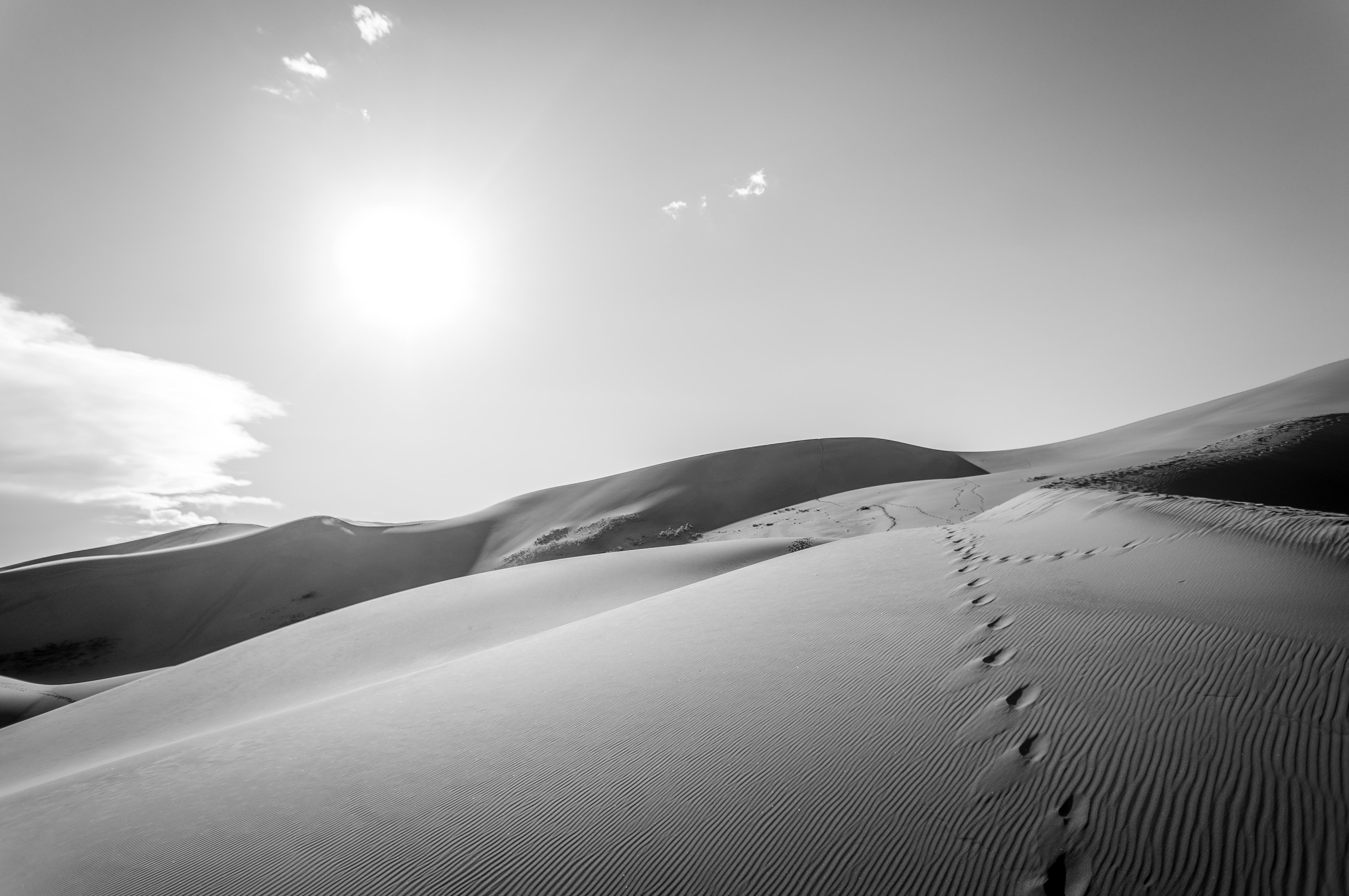 773513 скачать картинку земля/природа, пустыня, чёрно белое, дюна, след, песок - обои и заставки бесплатно