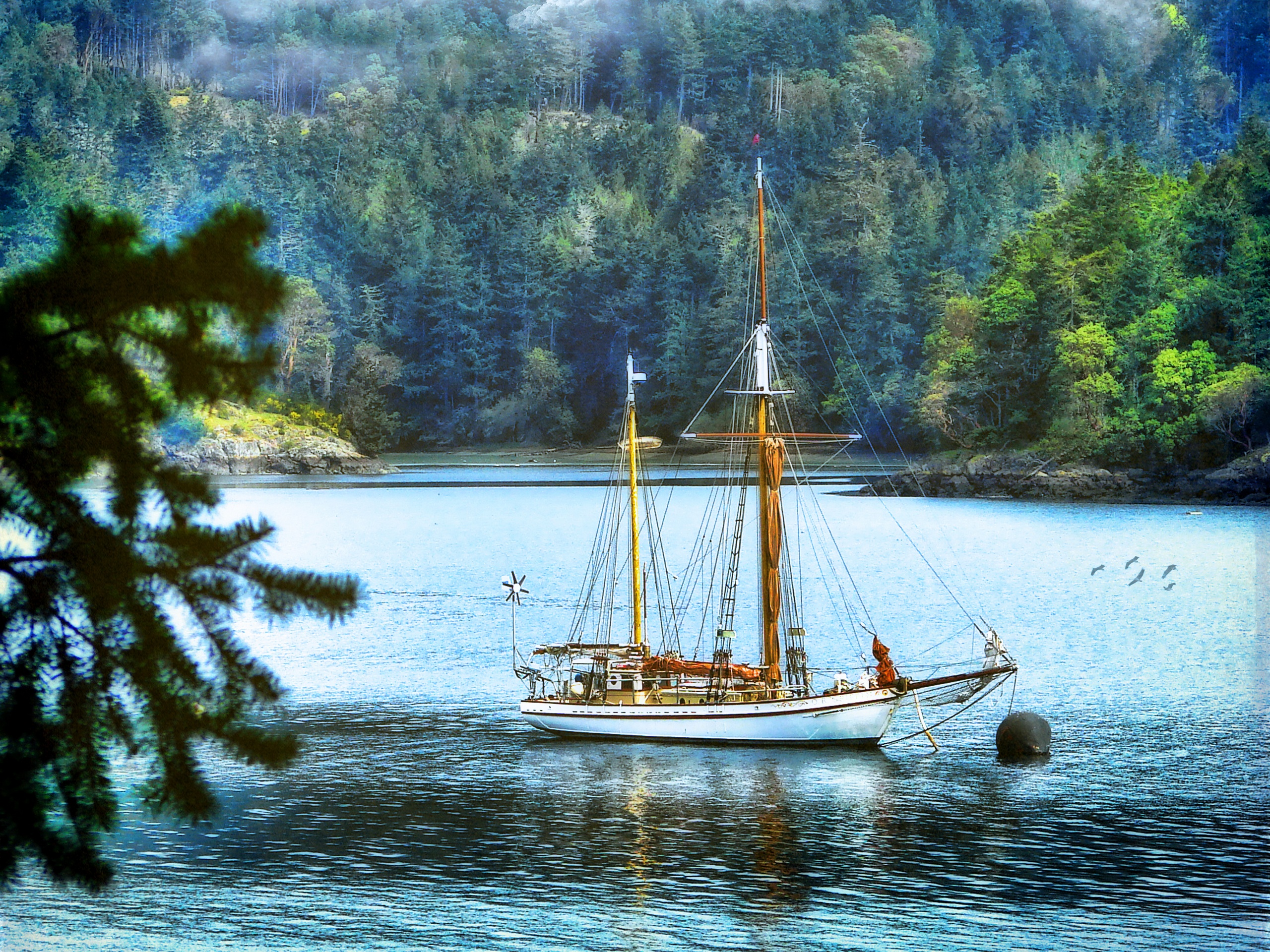 169750 завантажити картинку човен, фотографія, hdr, ліс, зелений, озеро, вітрильник - шпалери і заставки безкоштовно