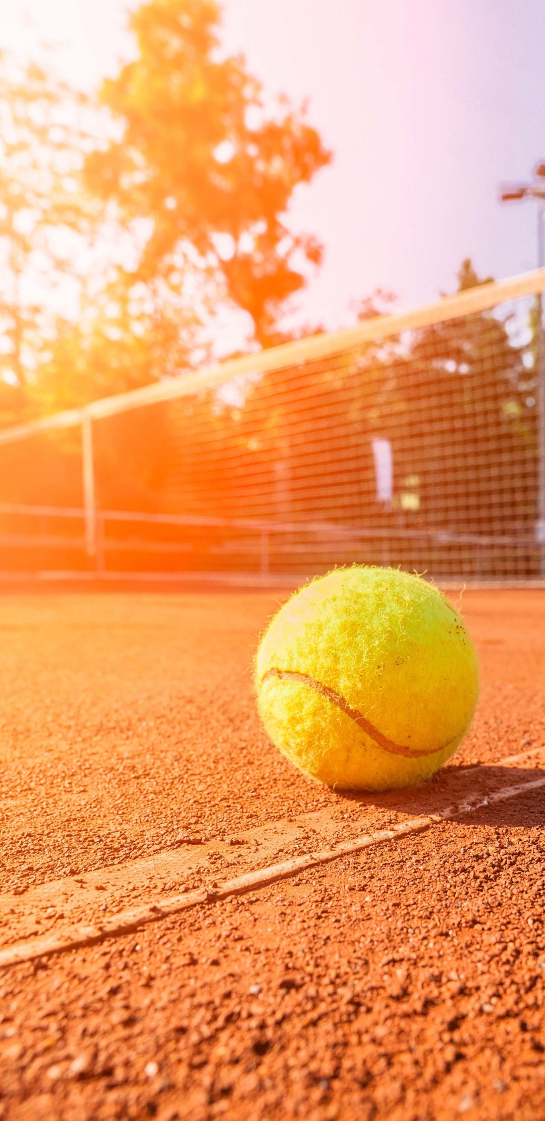Download mobile wallpaper Sports, Tennis, Ball, Sunny for free.