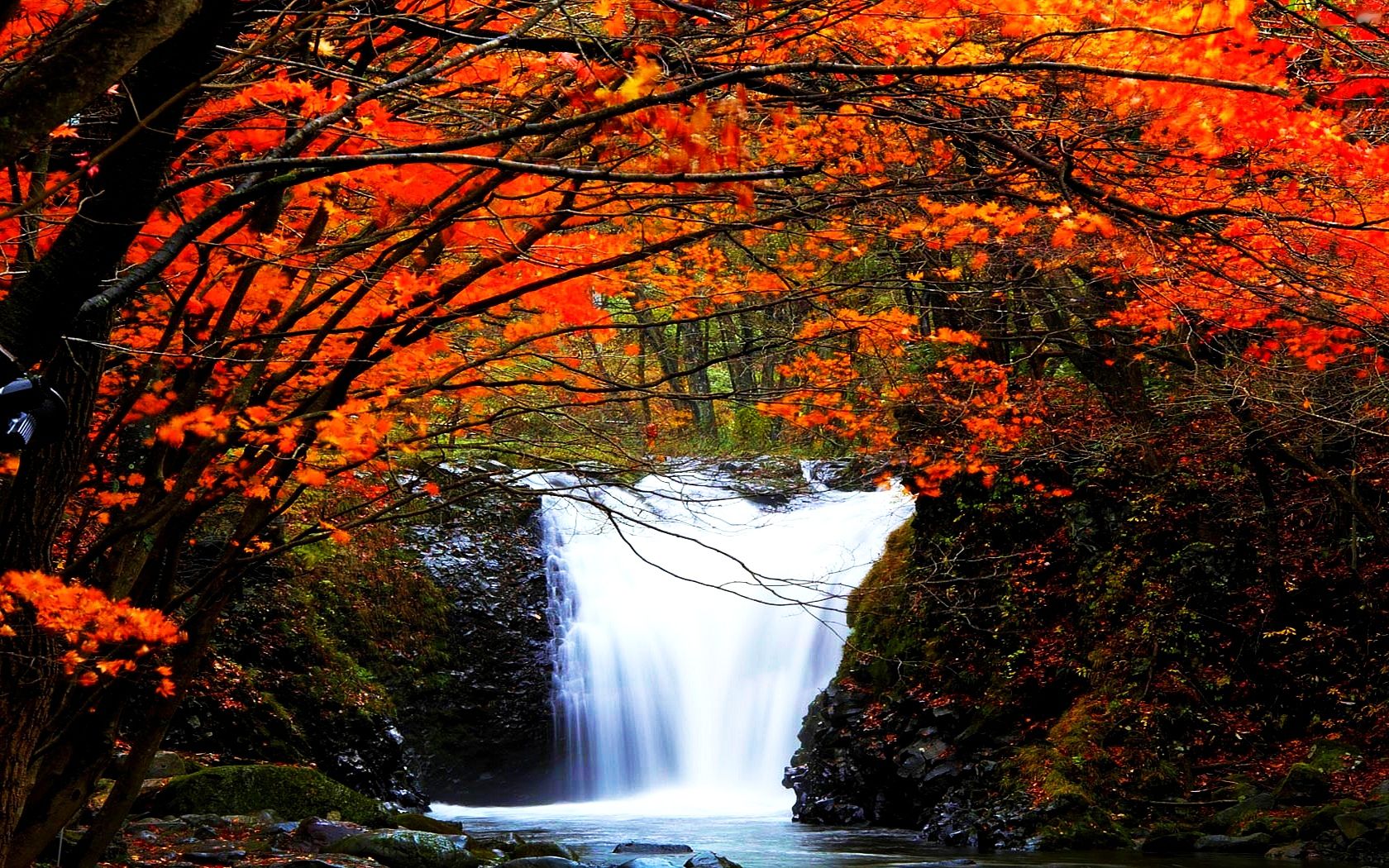 Descarga gratuita de fondo de pantalla para móvil de Cascada, Tierra/naturaleza.