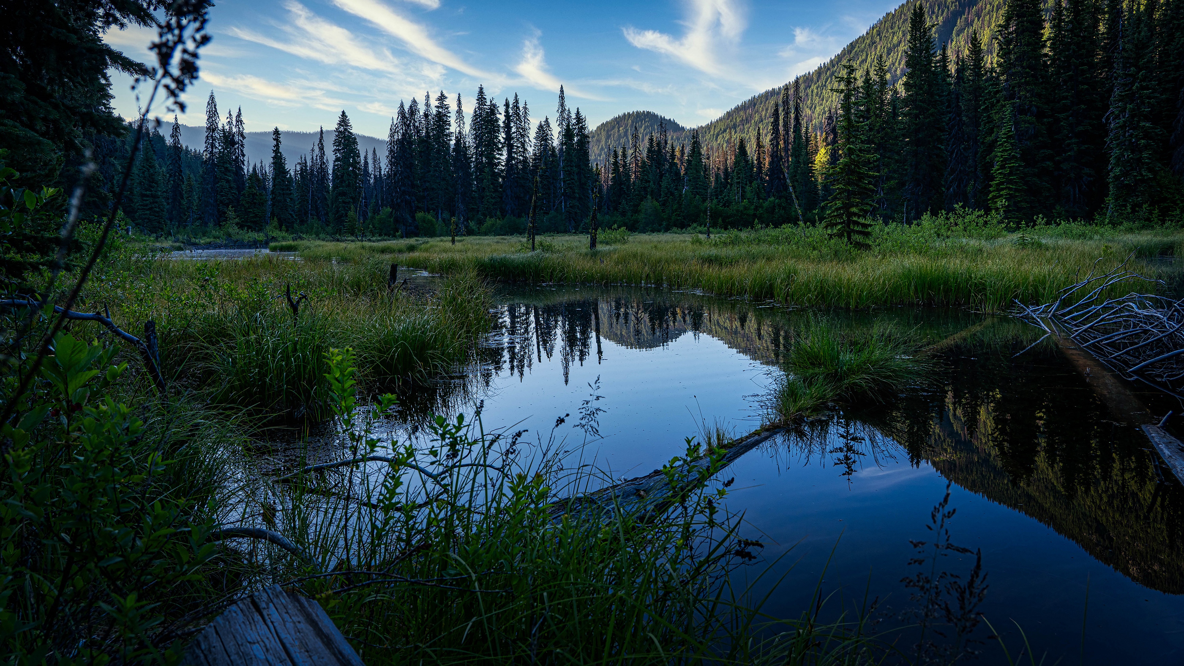 Laden Sie das Landschaft, Natur, Kanada, Wald, Alberta, Erde/natur, Spiegelung-Bild kostenlos auf Ihren PC-Desktop herunter