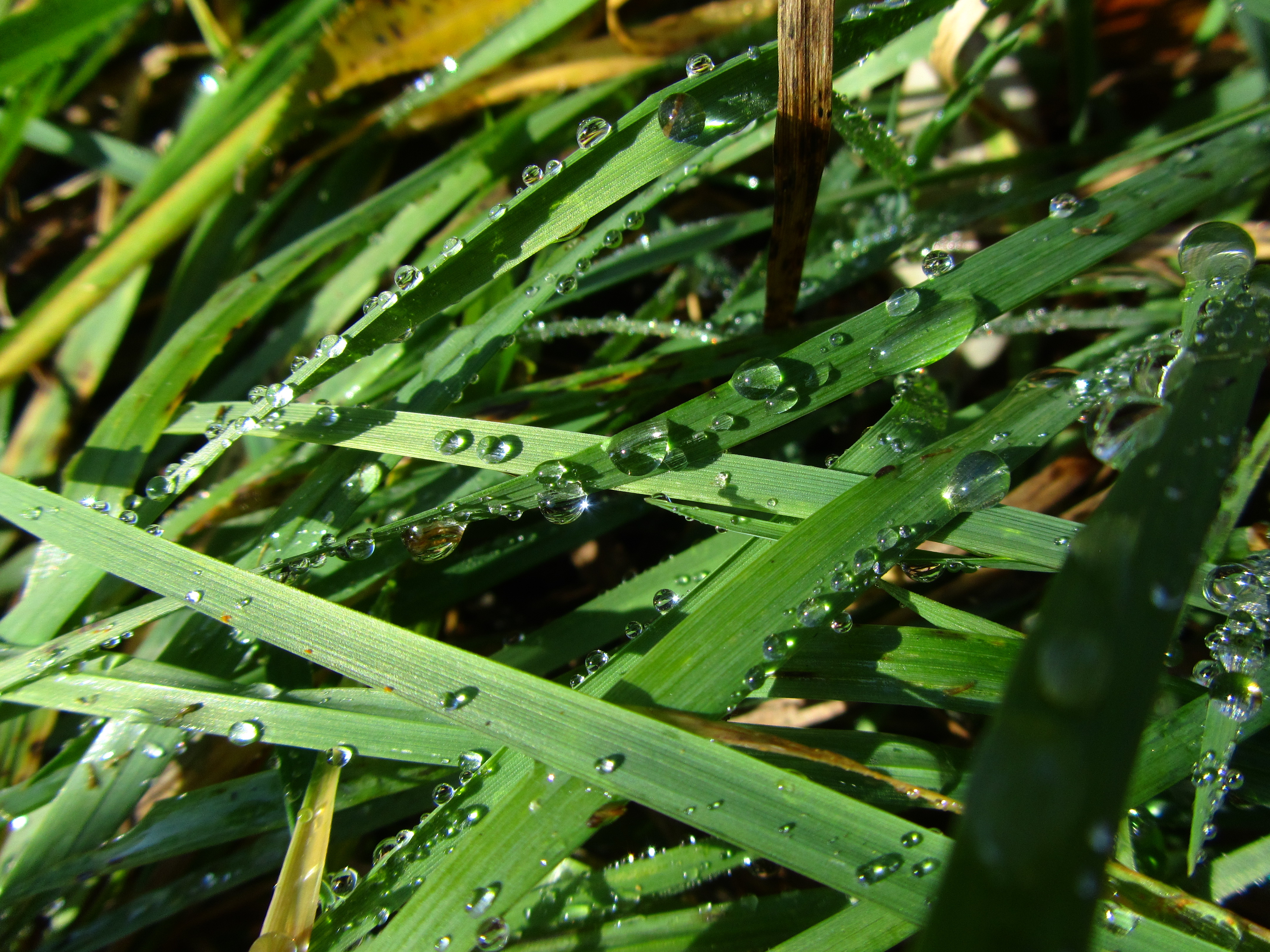 Free download wallpaper Earth, Water Drop on your PC desktop