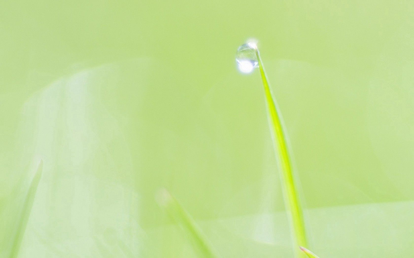 Laden Sie das Grass, Pflanze, Makro, Blatt, Drop, Ein Tropfen-Bild kostenlos auf Ihren PC-Desktop herunter