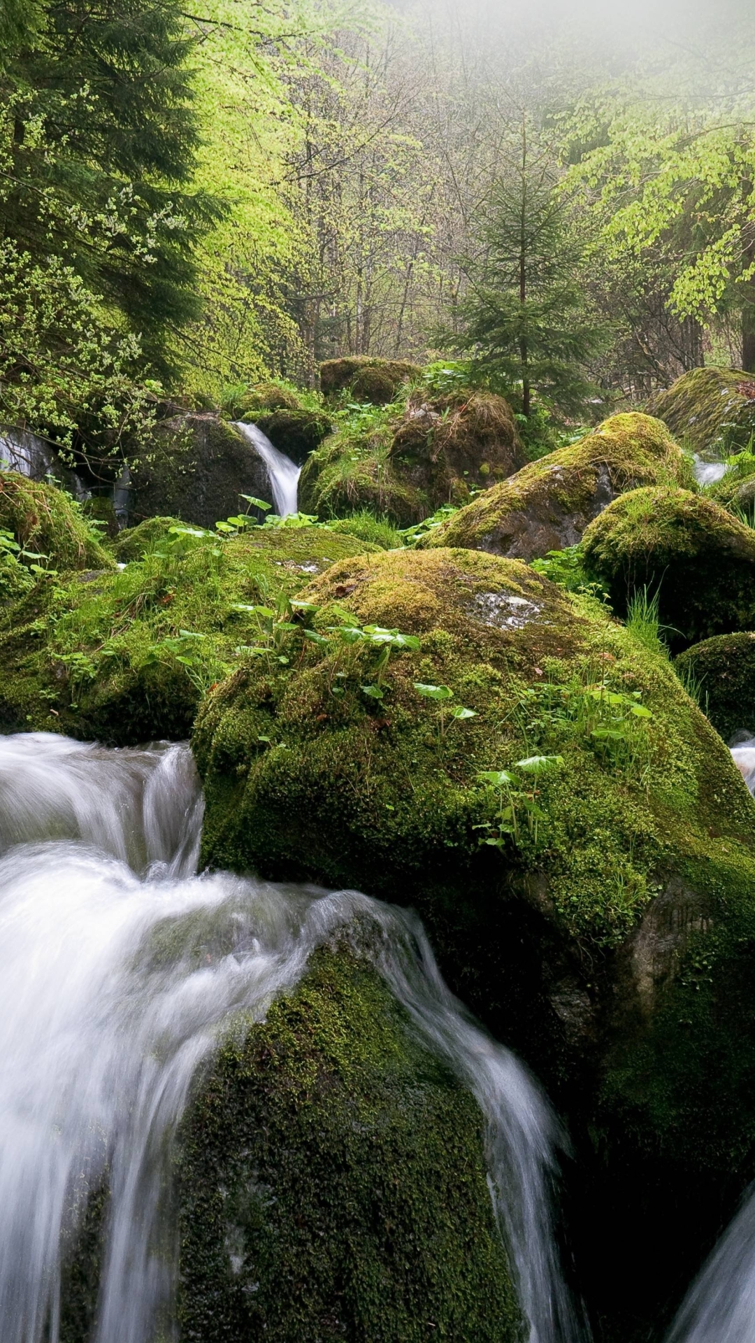 Скачать картинку Водопад, Лес, Земля, Зеленый, Мох, Ручей, Земля/природа в телефон бесплатно.