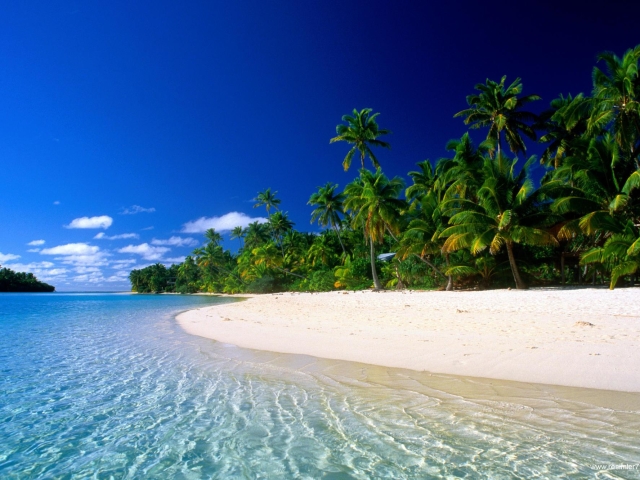Download mobile wallpaper Water, Sky, Beach, Sand, Tree, Earth, Tropics, Island, Palm Tree for free.