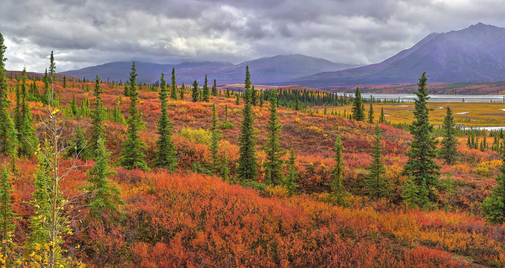 Free download wallpaper Landscape, Nature, Mountain, Tree, Earth, Cloud on your PC desktop