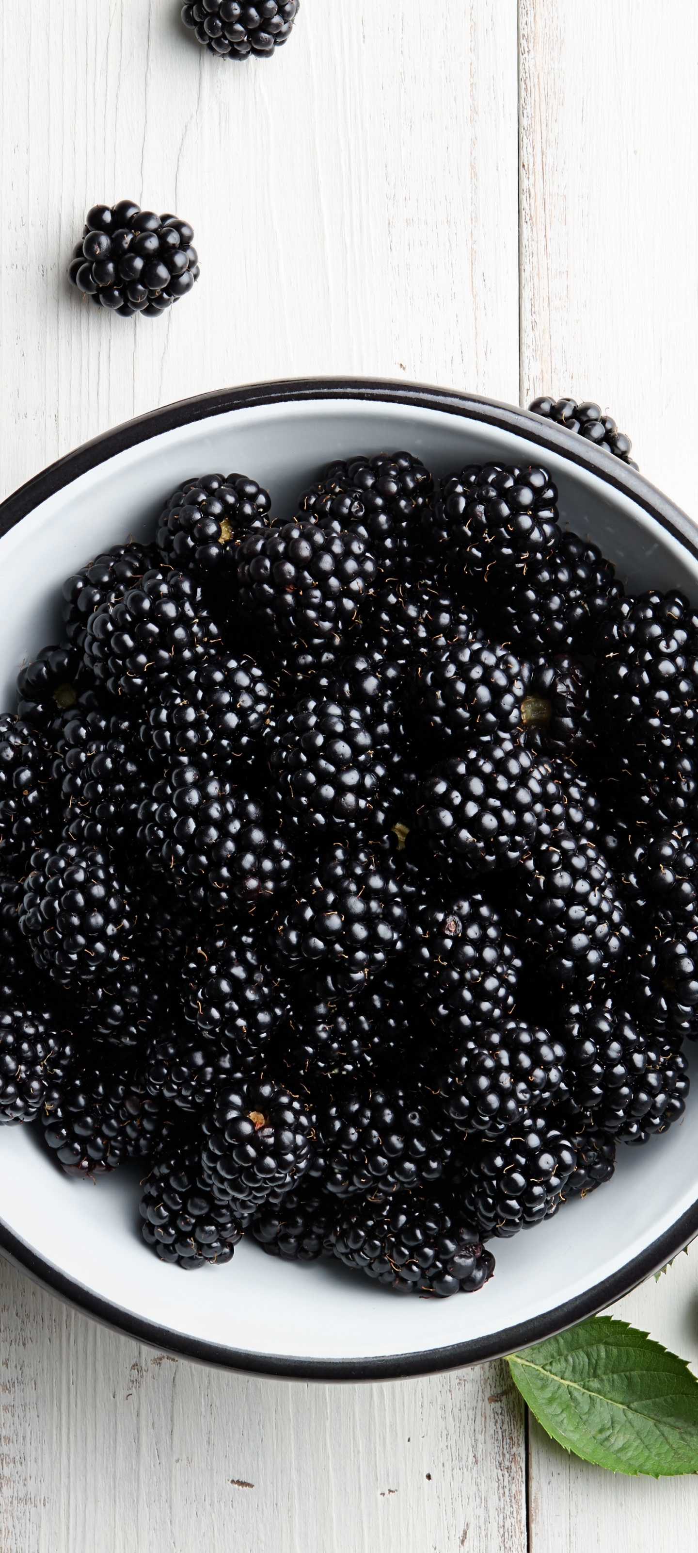 Download mobile wallpaper Food, Blackberry, Berry, Fruit for free.