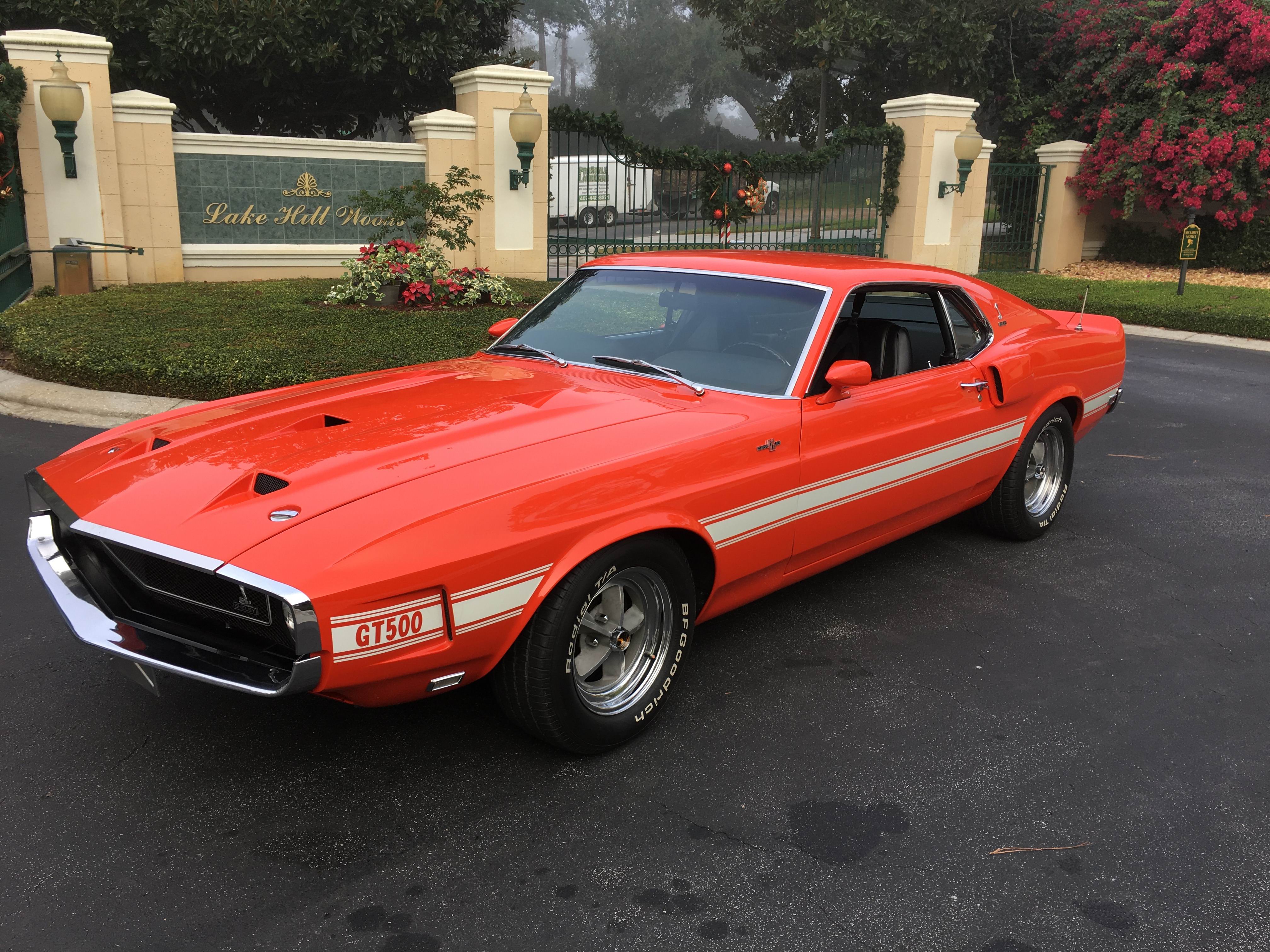 vehicles, ford shelby gt500, car, fastback, muscle car, ford
