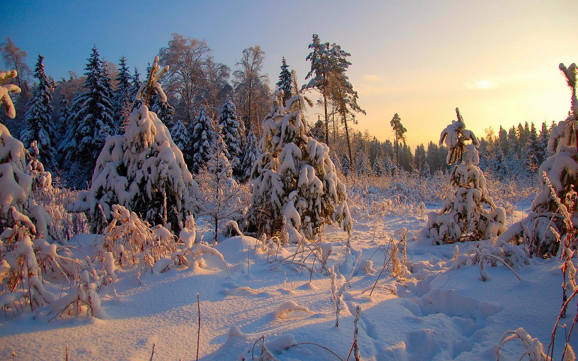 Téléchargez gratuitement l'image Hiver, Terre/nature sur le bureau de votre PC