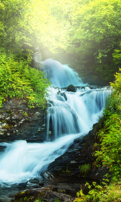 Handy-Wallpaper Wasserfälle, Wasserfall, Baum, Erde, Erde/natur kostenlos herunterladen.