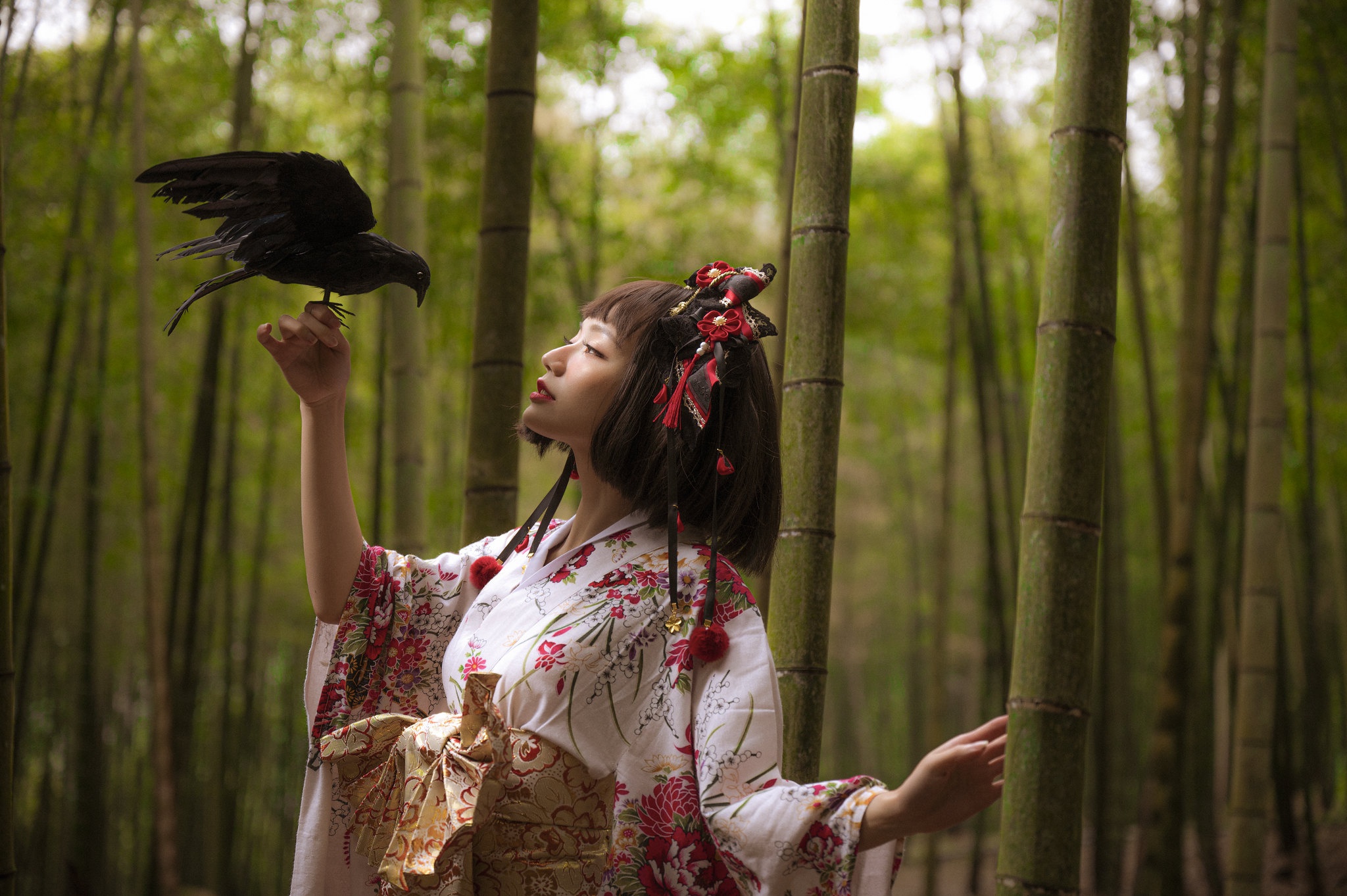Download mobile wallpaper Bamboo, Kimono, Crow, Brunette, Model, Women, Asian, Short Hair for free.