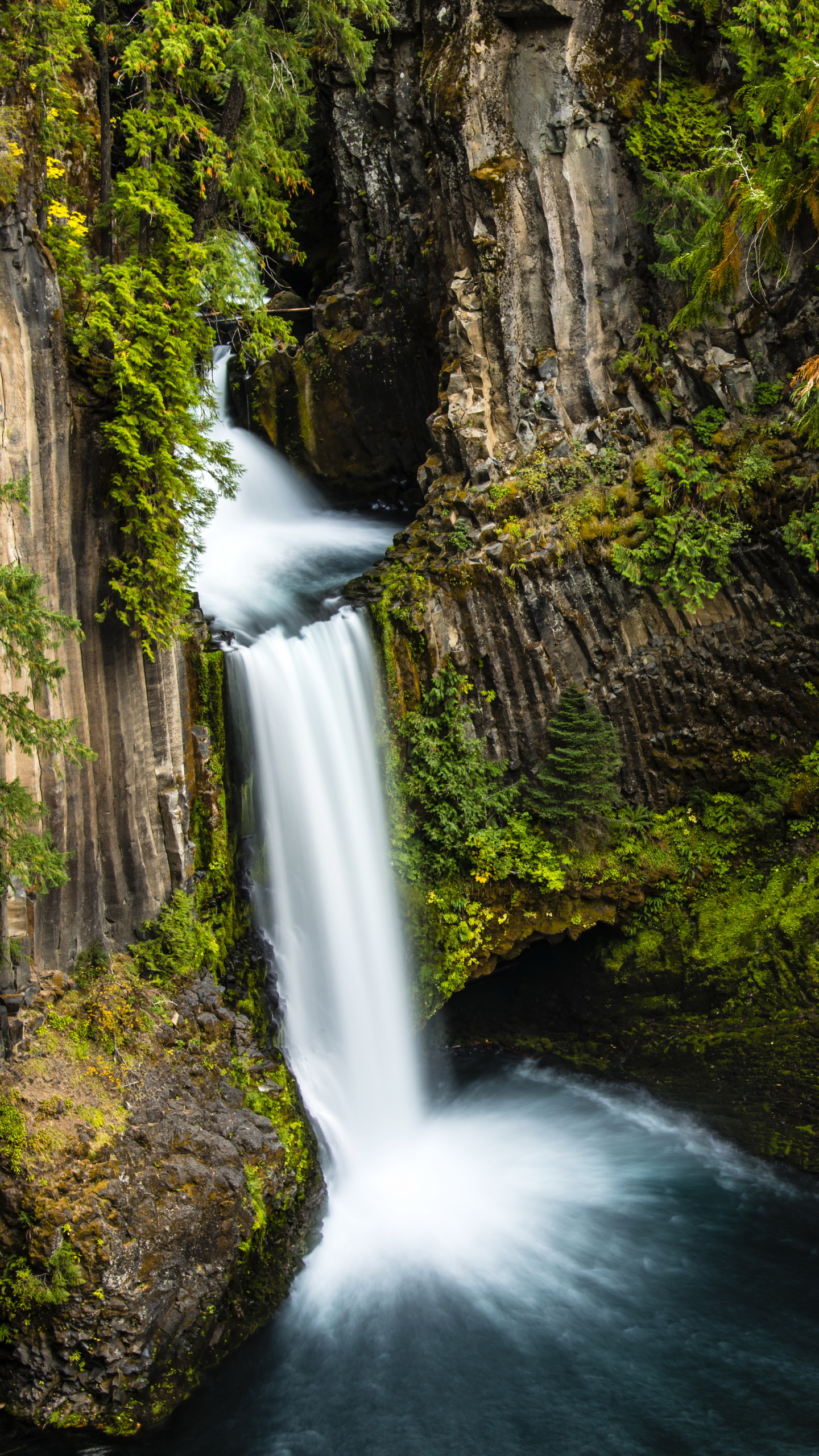 Download mobile wallpaper Waterfalls, Waterfall, Forest, Tree, Earth, Oregon, Toketee Falls for free.