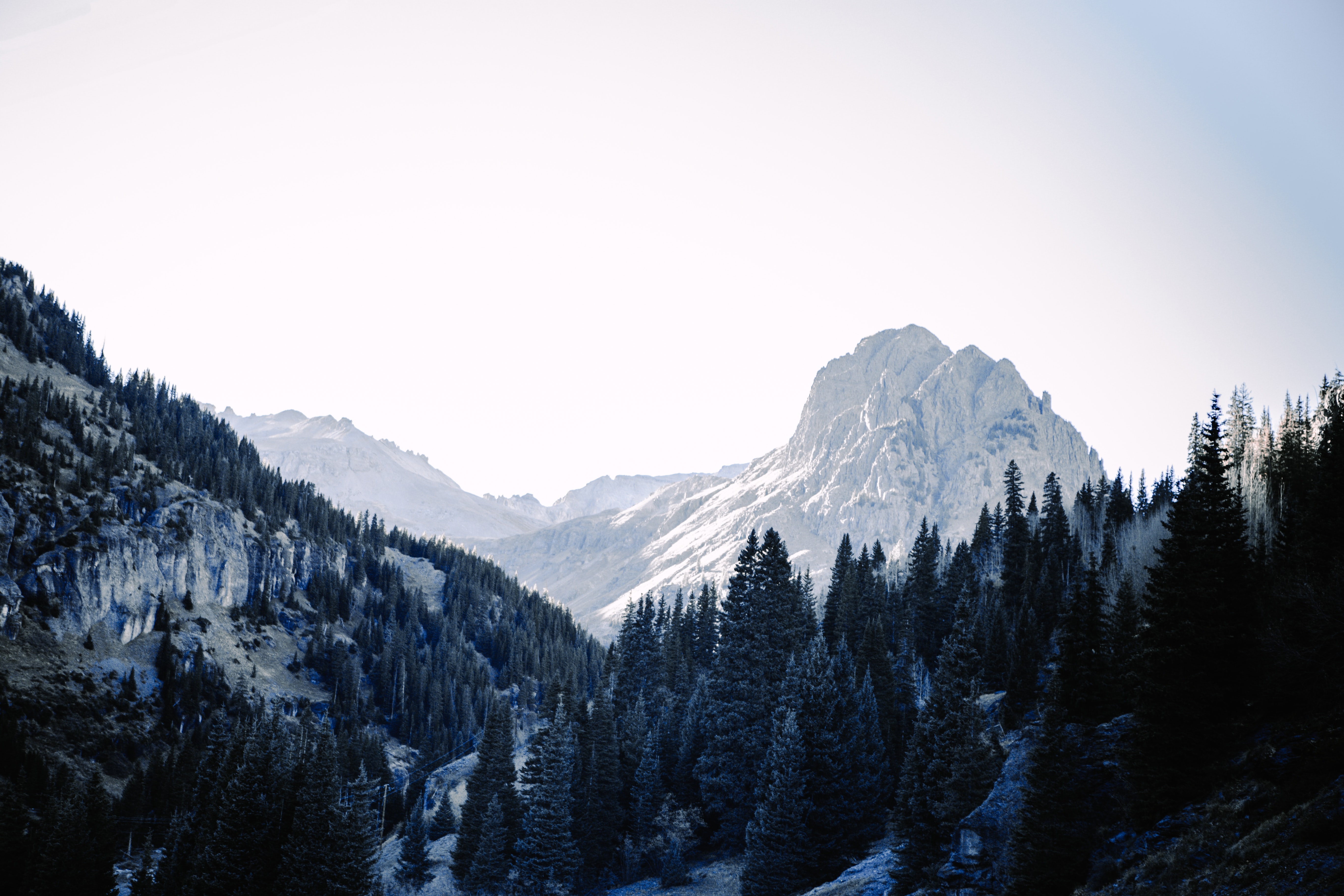 Descarga gratuita de fondo de pantalla para móvil de Árboles, Abeto, Naturaleza, Cielo, Montañas, Nieve.