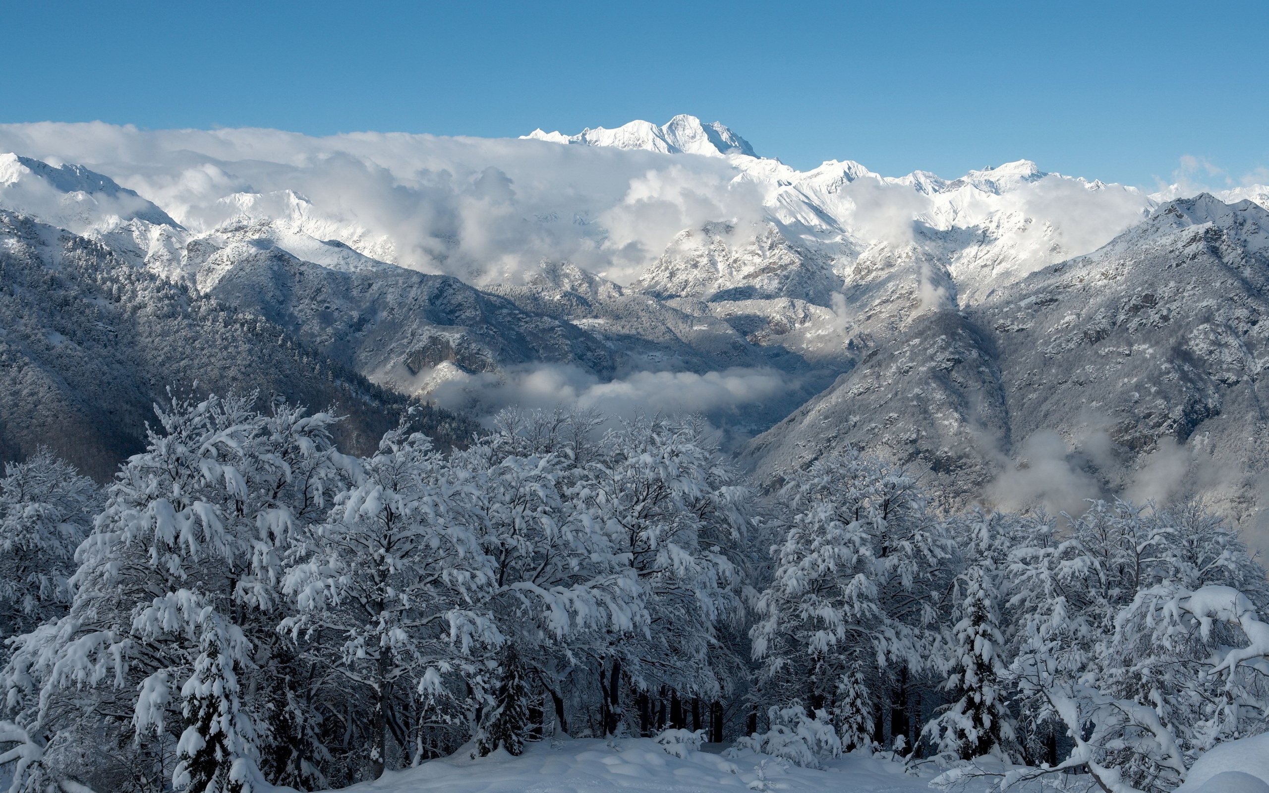 Handy-Wallpaper Winter, Erde/natur kostenlos herunterladen.