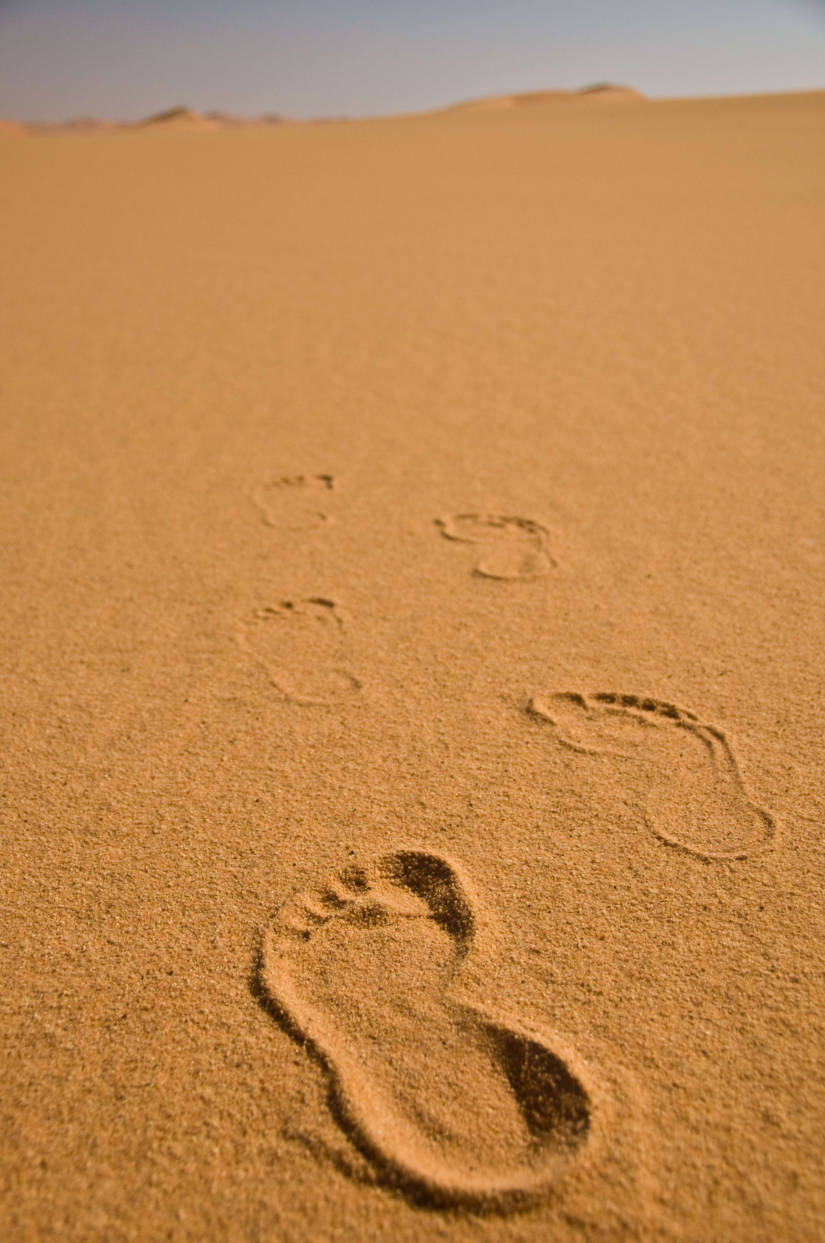 125562 скачать картинку следы, природа, пляж, песок, горизонт - обои и заставки бесплатно