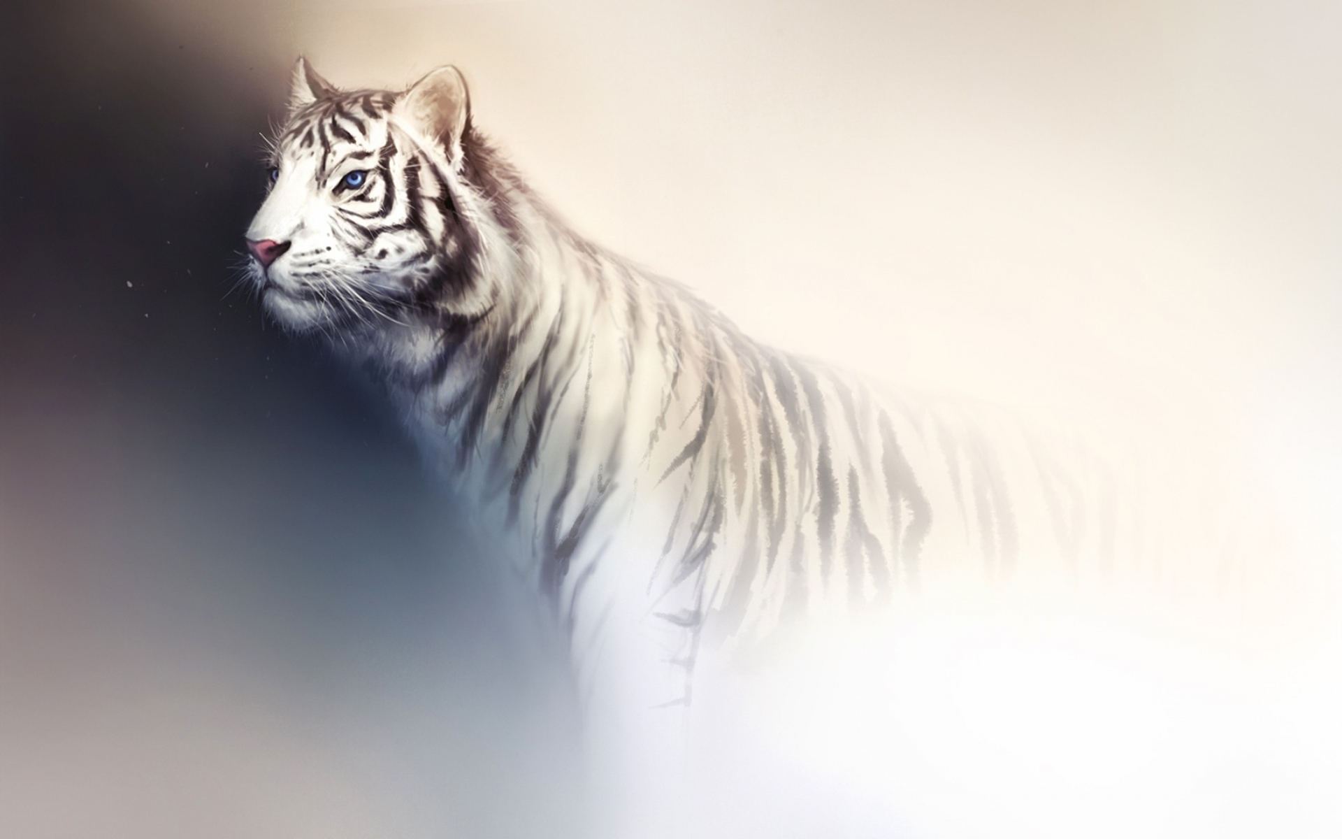 292337 Hintergrundbilder und Weißer Tiger Bilder auf dem Desktop. Laden Sie  Bildschirmschoner kostenlos auf den PC herunter