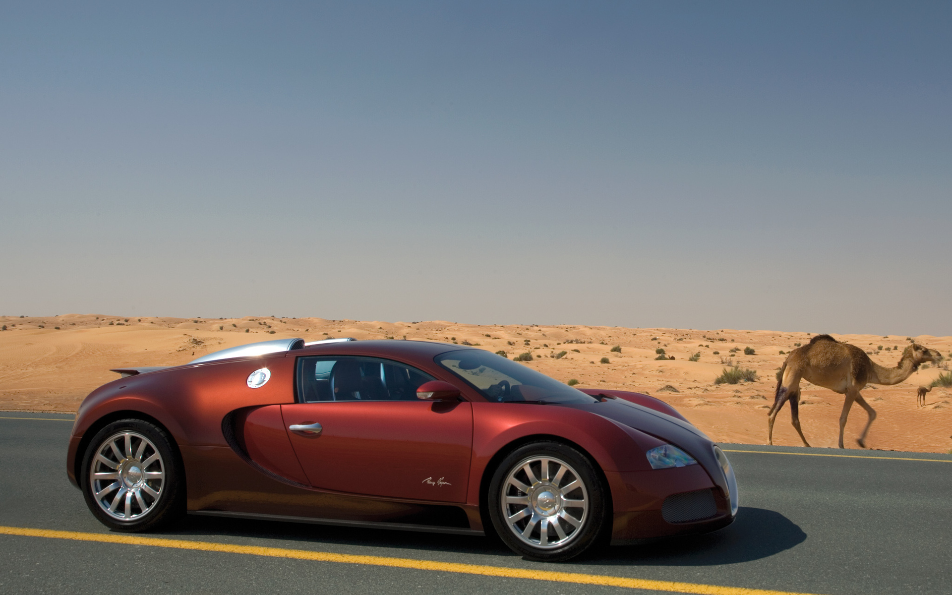 Baixar papel de parede para celular de Bugatti Veyron, Bugatti, Veículos gratuito.