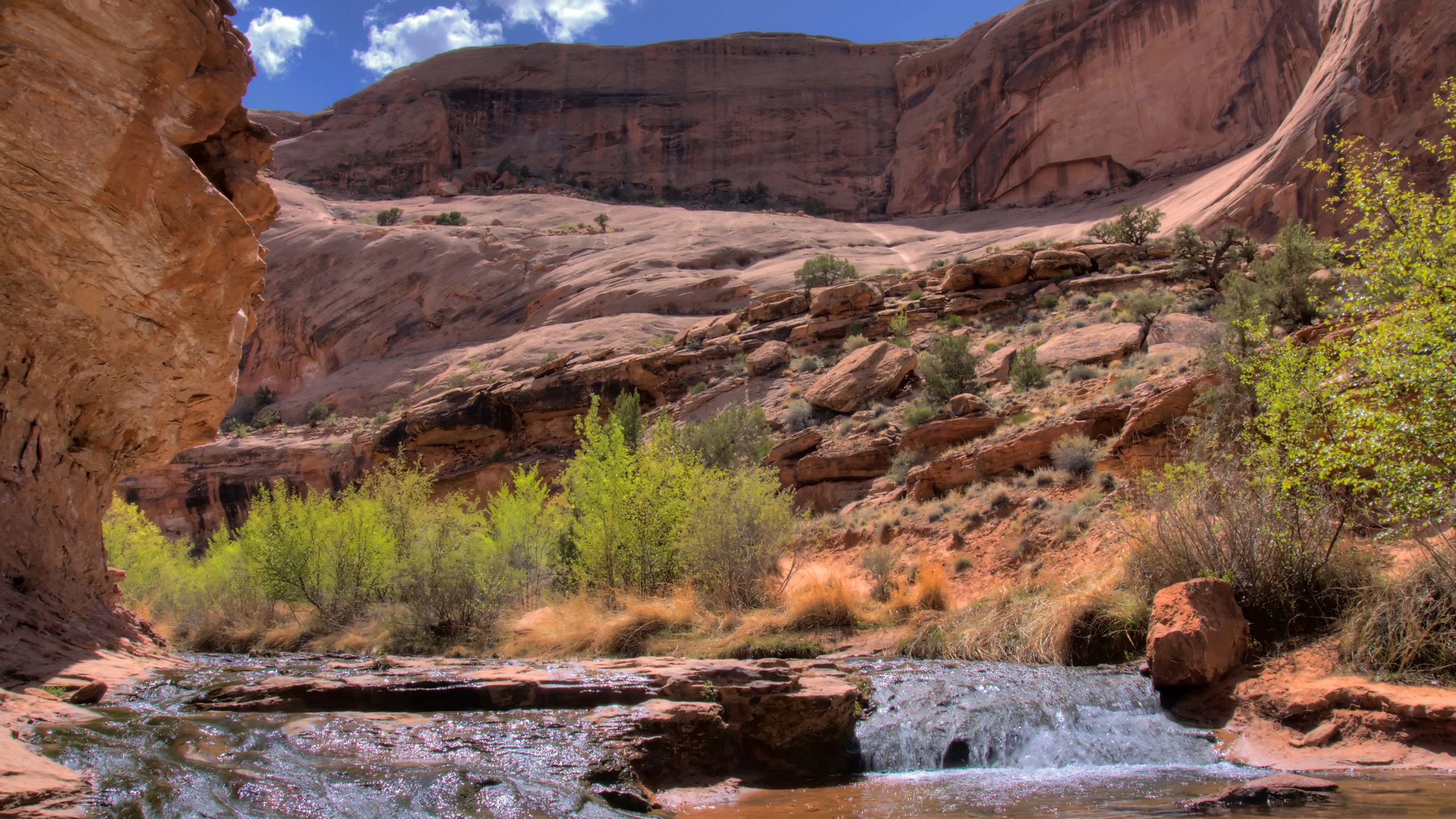 77428 скачать обои ущелье, горная река, каньон, природа, кусты, ручей - заставки и картинки бесплатно
