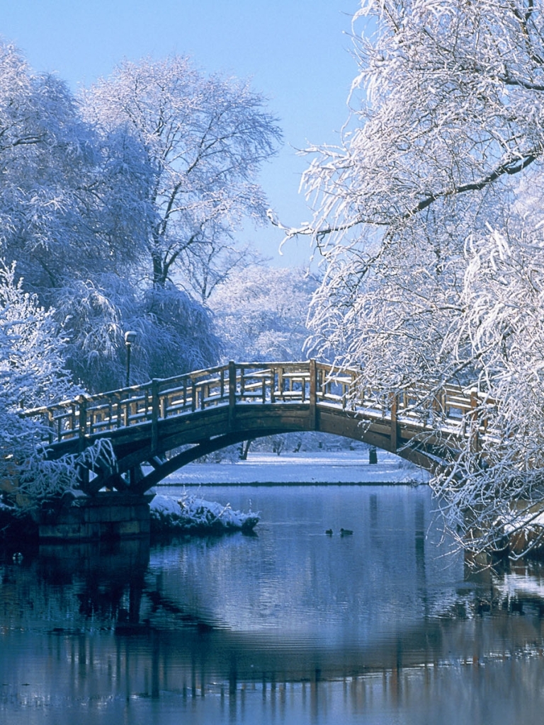 Download mobile wallpaper Landscape, Winter, Water, Snow, Reflection, Tree, Bridge, Pond, Photography for free.