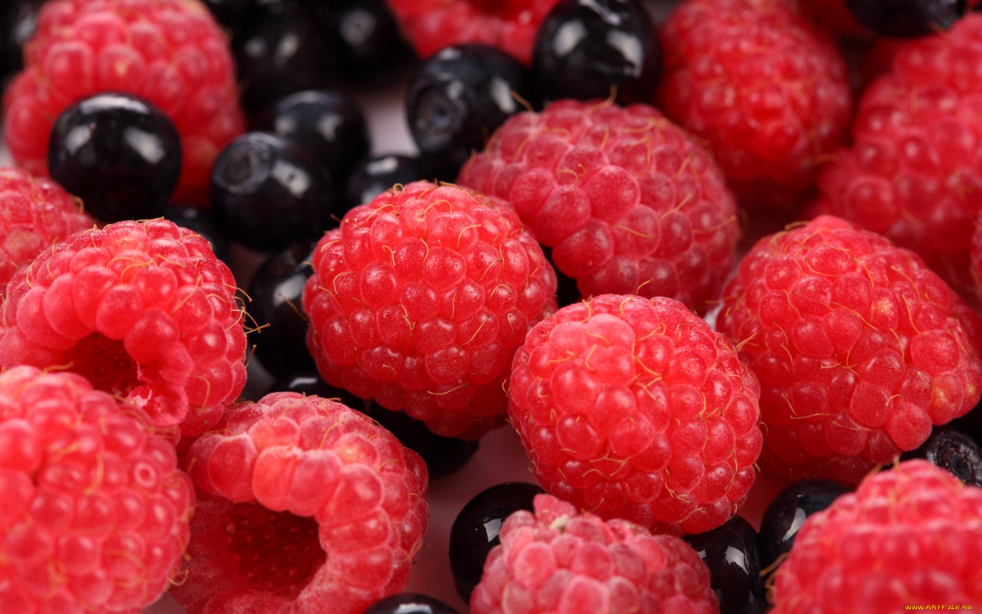 Download mobile wallpaper Food, Berry for free.