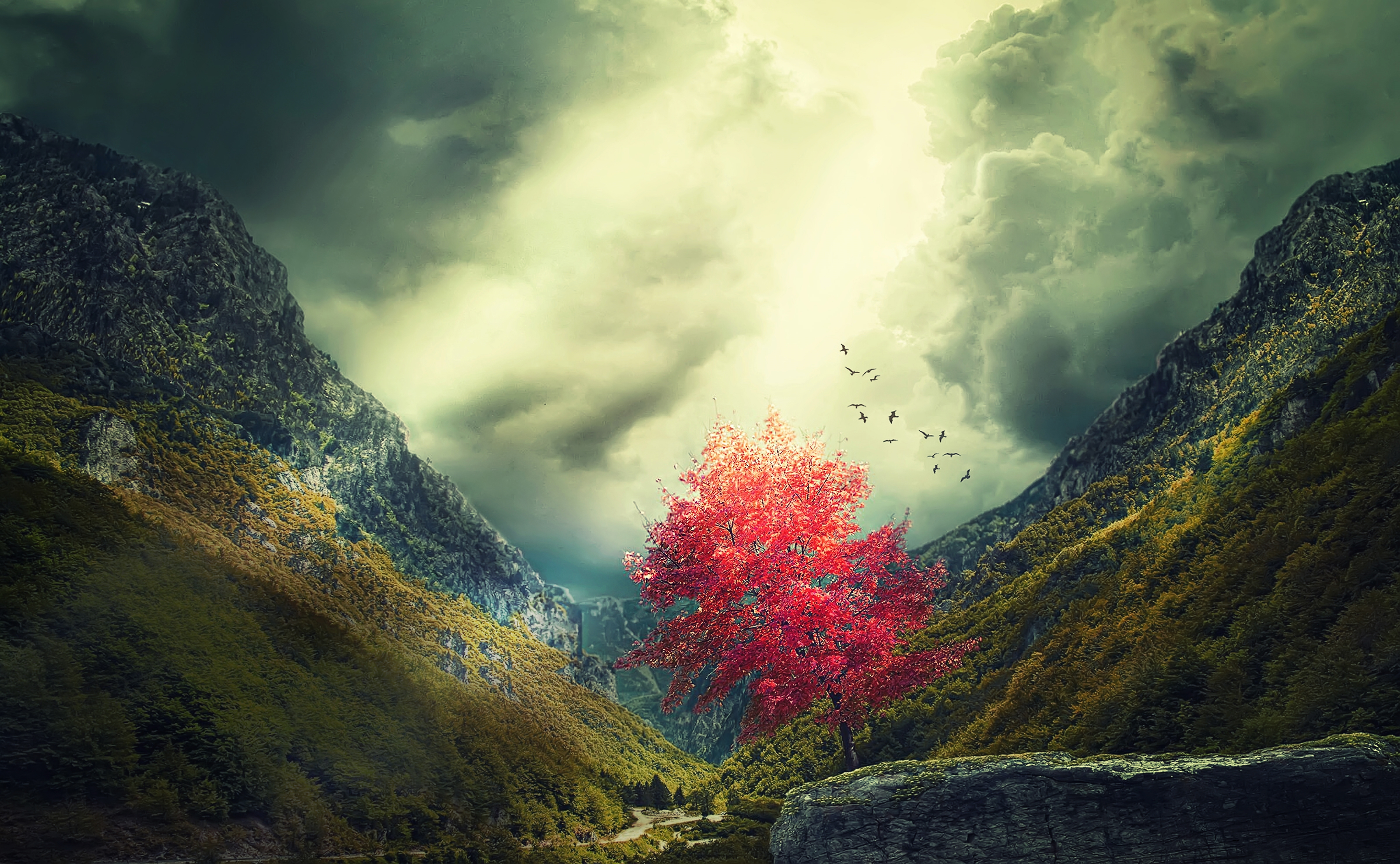 Download mobile wallpaper Landscape, Trees, Mountain, Tree, Fall, Earth, Valley for free.