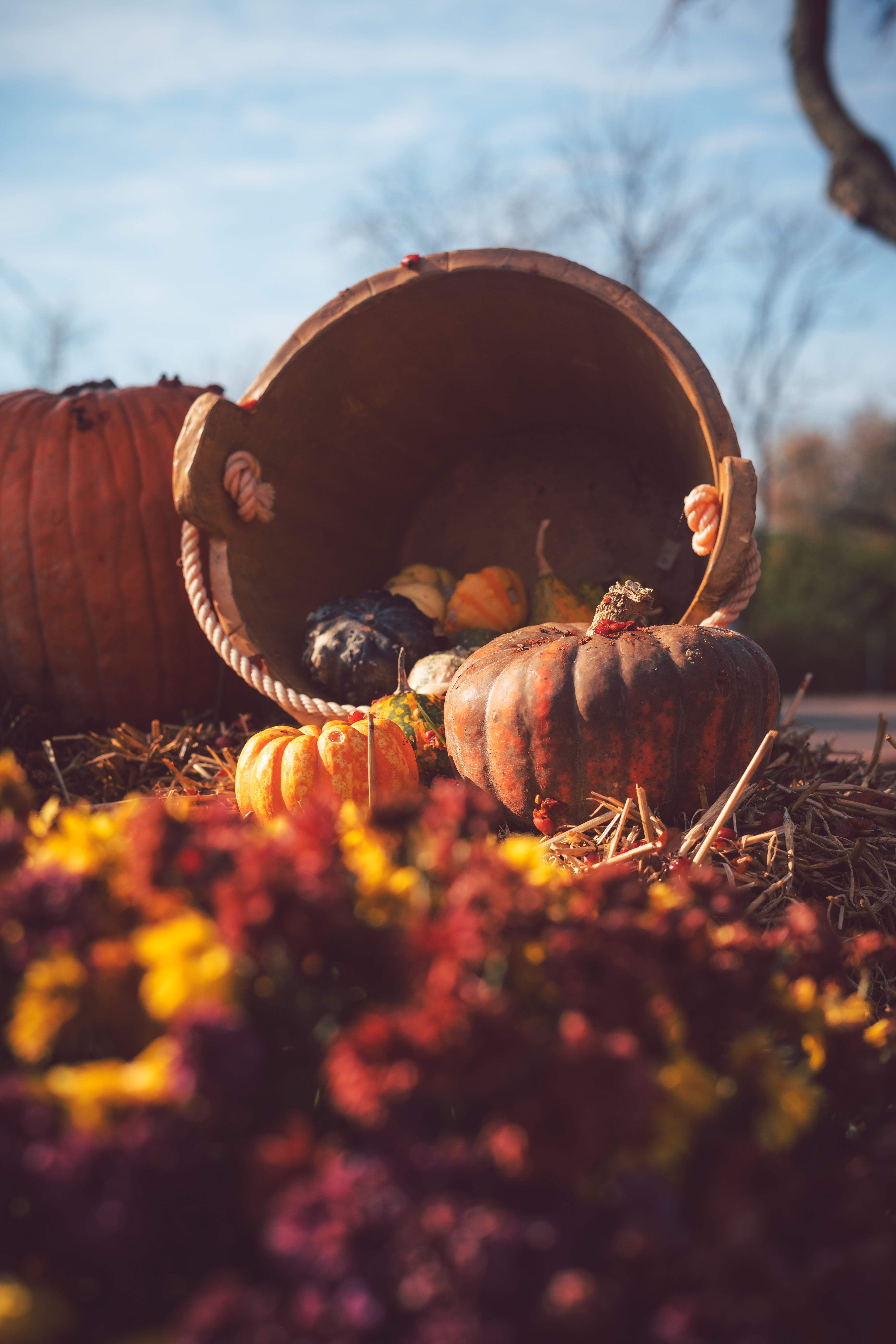 autumn, pumpkin, miscellanea, miscellaneous, basket, harvest, straw
