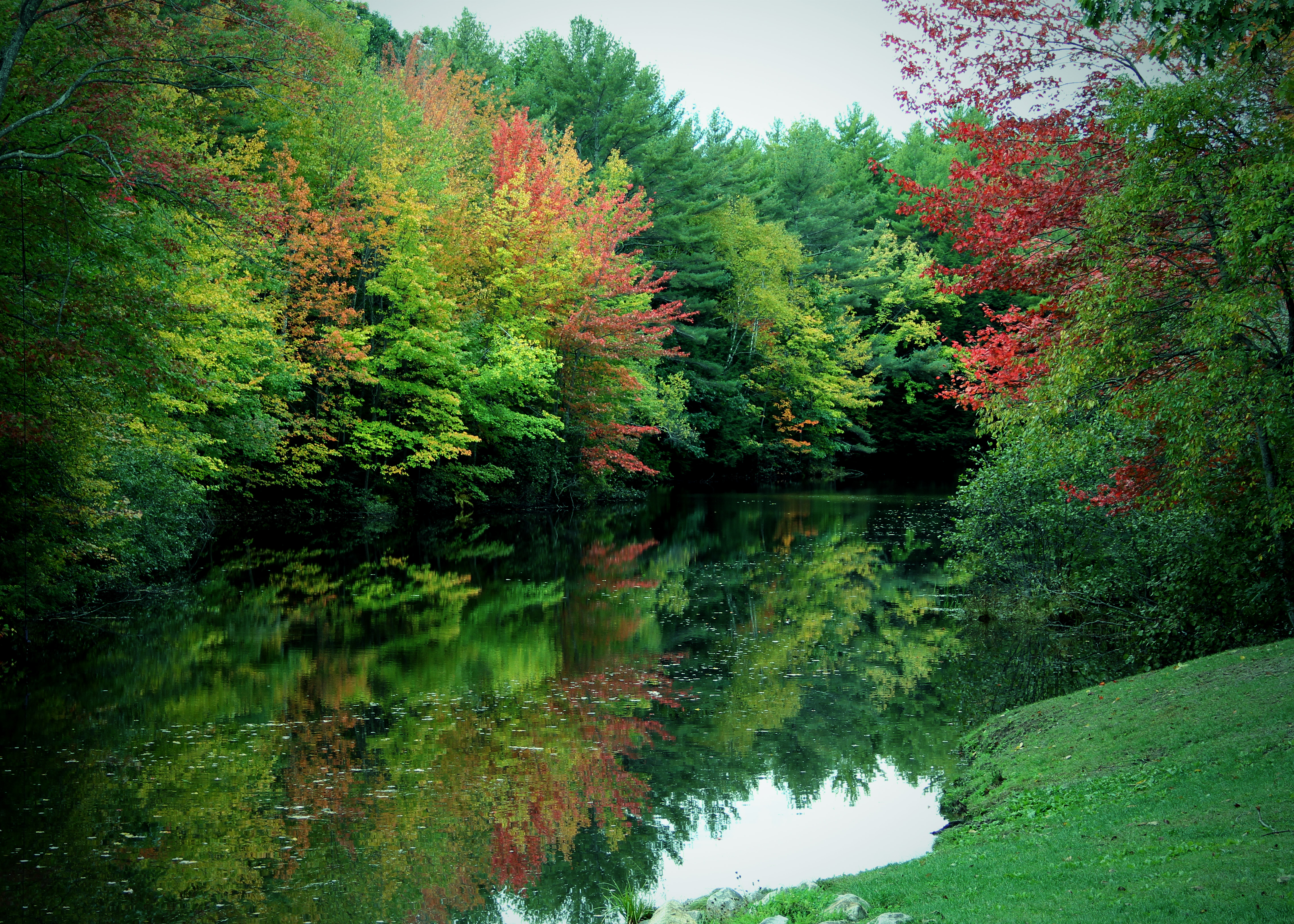 Скачать обои бесплатно Осень, Отражение, Дерево, Пруд, Земля/природа картинка на рабочий стол ПК