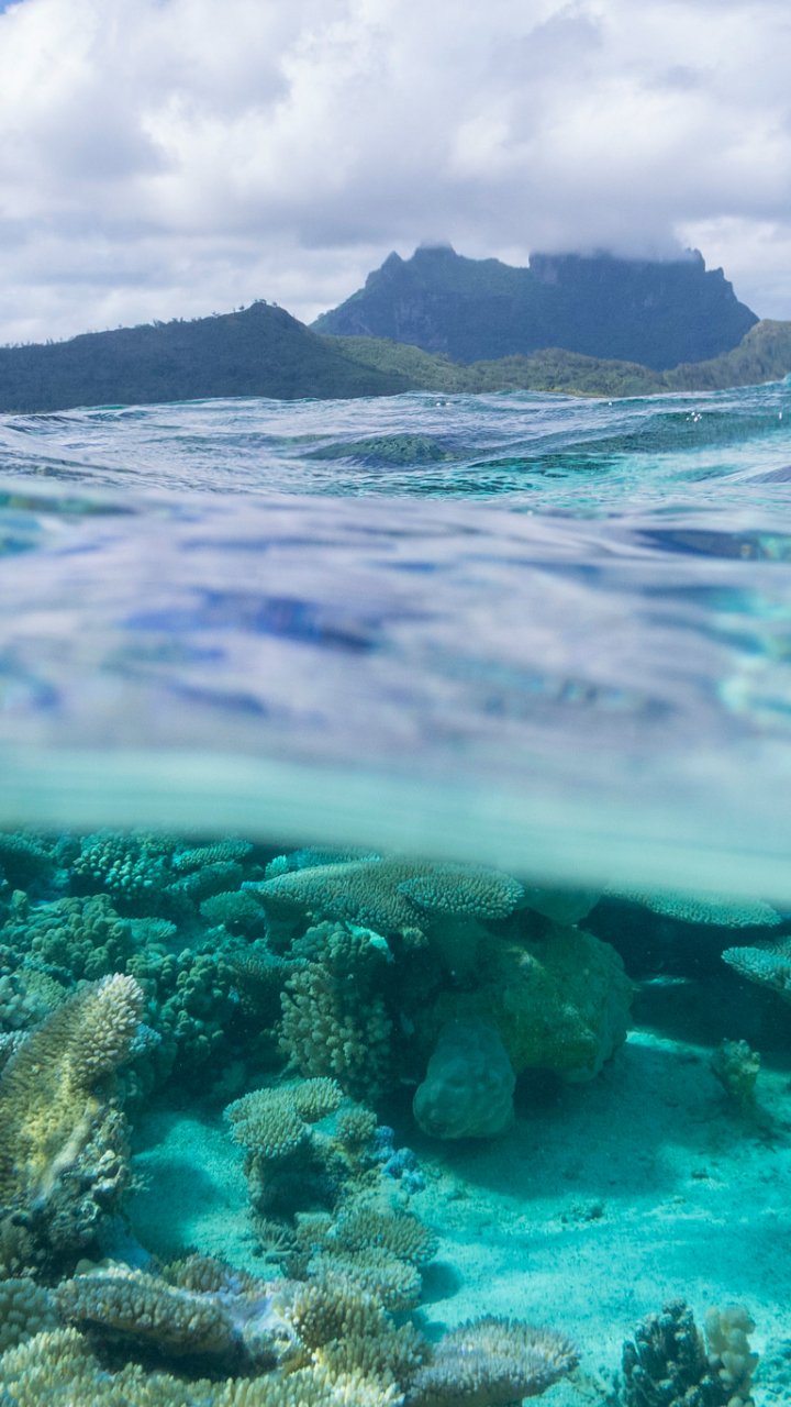 Handy-Wallpaper Natur, Koralle, Unterwasser, Bora Bora, Französisch Polynesien, Erde/natur, Okrean kostenlos herunterladen.