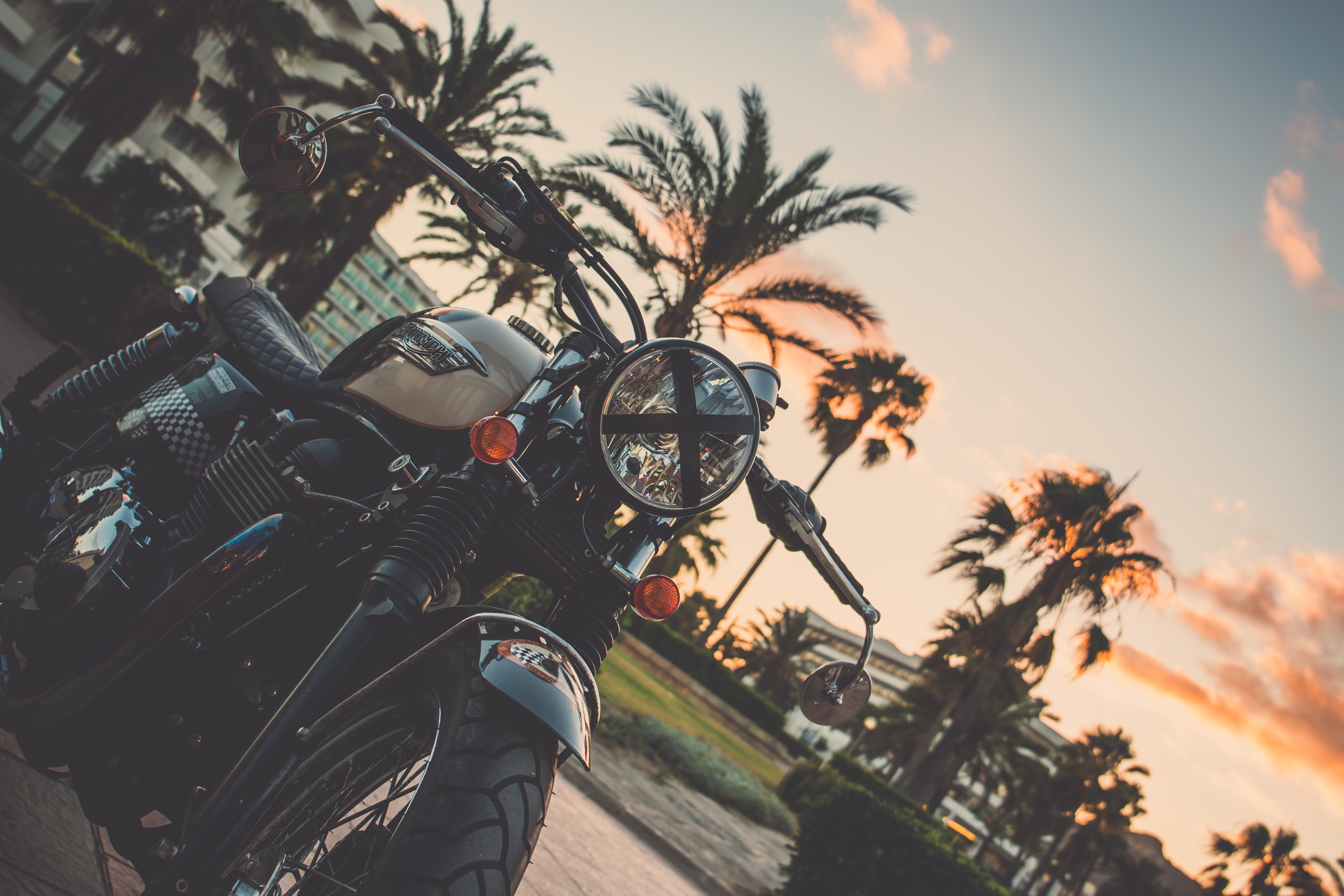 bike, motorcycle, motorcycles, palm