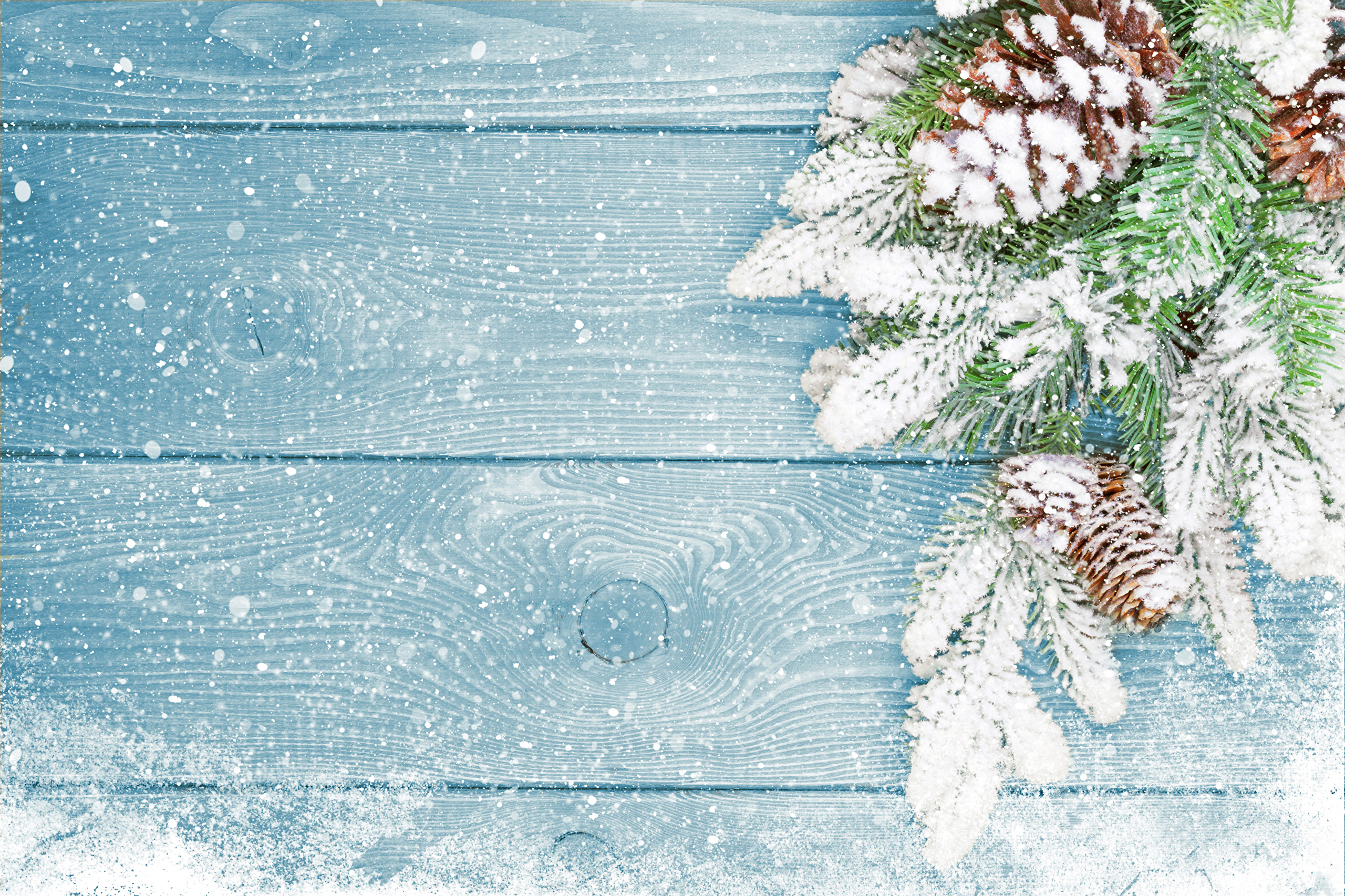 Laden Sie das Winter, Schnee, Holz, Fotografie, Tannenzapfen-Bild kostenlos auf Ihren PC-Desktop herunter