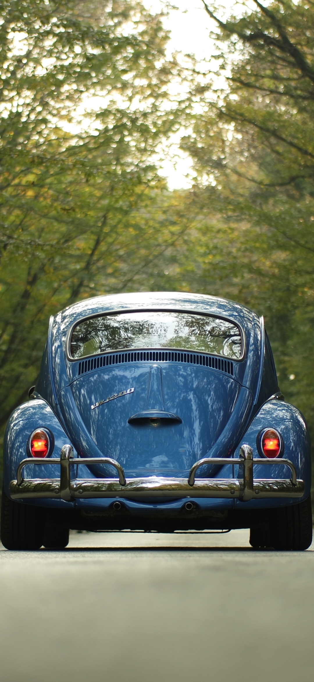 Download mobile wallpaper Volkswagen, Car, Volkswagen Beetle, Vehicle, Vehicles for free.