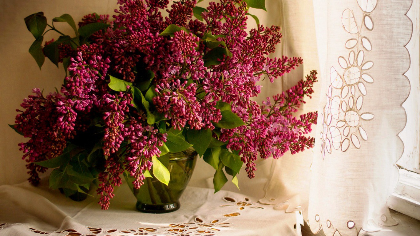 Download mobile wallpaper Lilac, Still Life, Flower, Purple, Vase, Curtain, Man Made for free.
