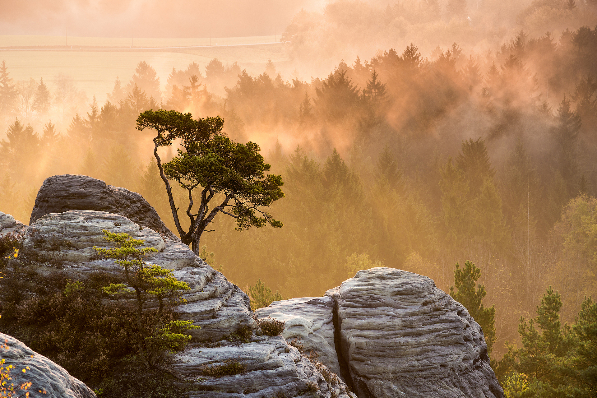 Descarga gratis la imagen Niebla, Tierra/naturaleza en el escritorio de tu PC