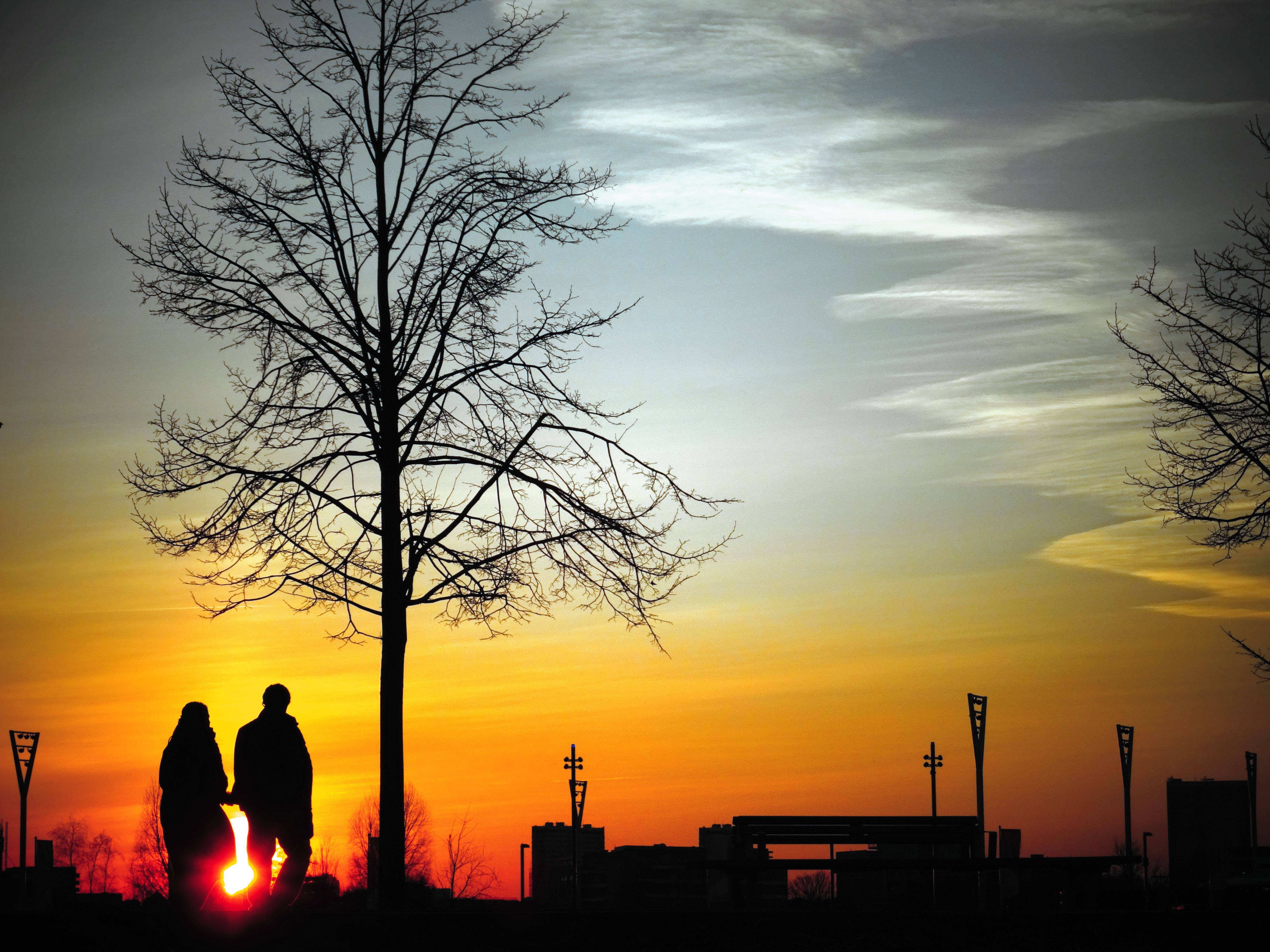 Free download wallpaper Sunset, Pair, Tree, Stroll, Wood, Couple, Silhouettes, Love on your PC desktop