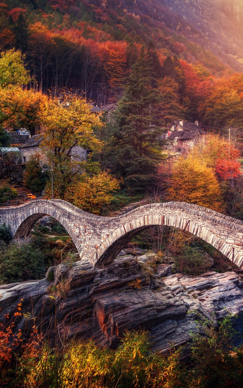 Handy-Wallpaper Natur, Herbst, Wald, Brücke, Brücken, Menschengemacht kostenlos herunterladen.