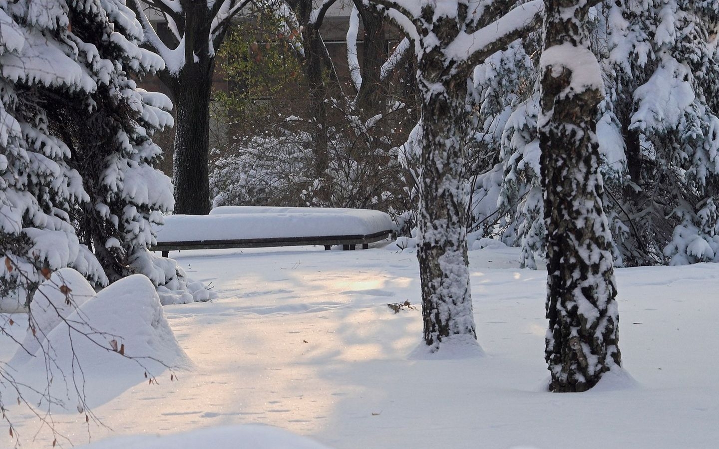 Laden Sie das Winter, Fotografie-Bild kostenlos auf Ihren PC-Desktop herunter