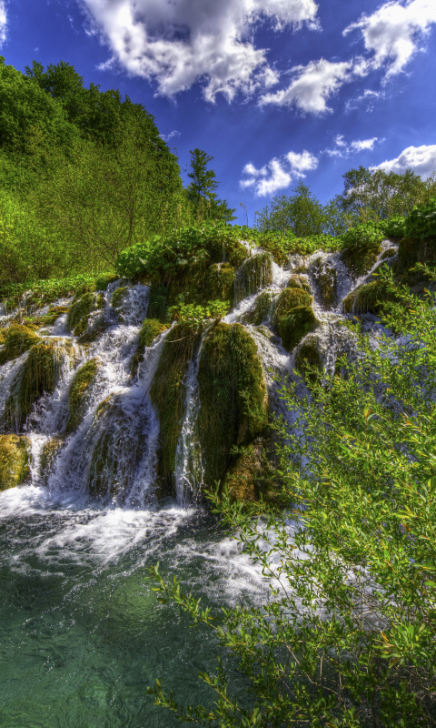無料モバイル壁紙木, 滝, 地球, プリトヴィツェ湖国立公園をダウンロードします。
