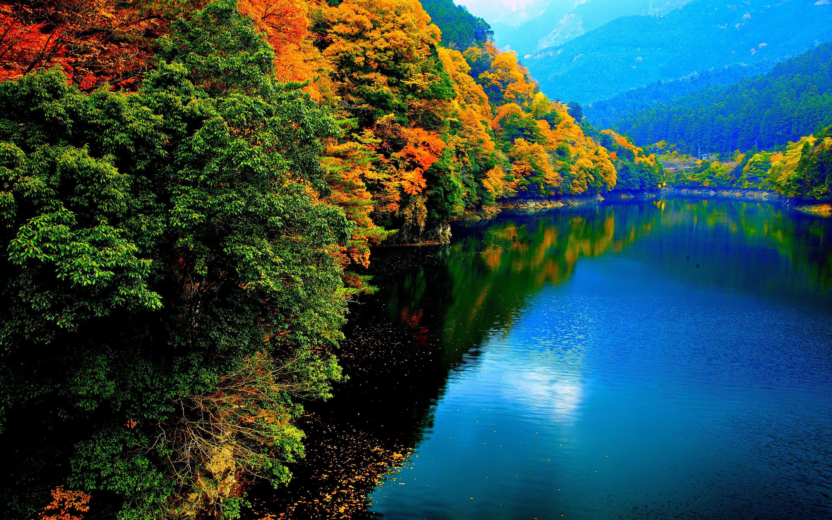 Free download wallpaper Lakes, Lake, Reflection, Forest, Tree, Fall, Earth on your PC desktop