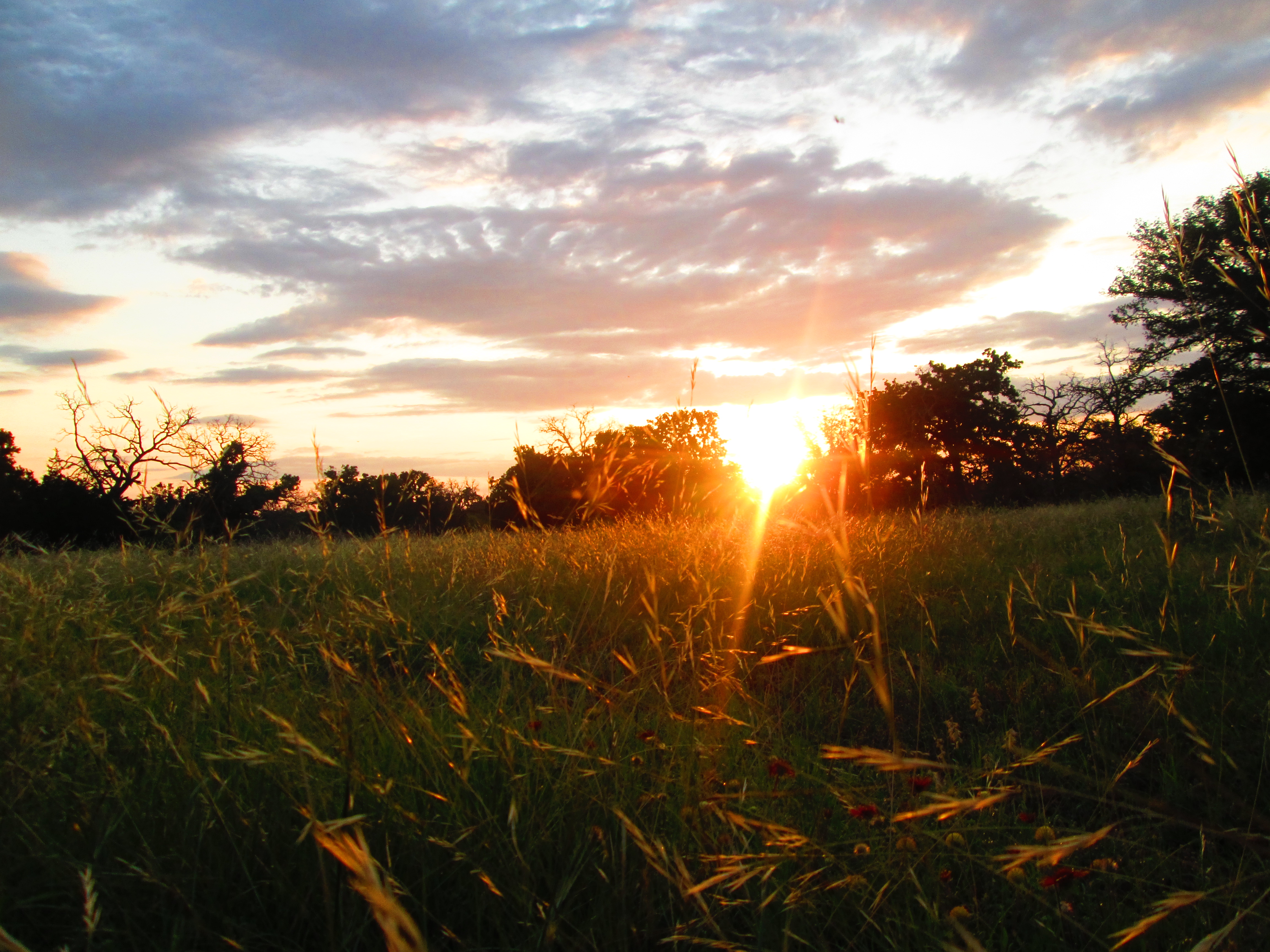 Handy-Wallpaper Sonnenaufgang, Wolke, Gras, Sonnenstrahl, Erde/natur kostenlos herunterladen.