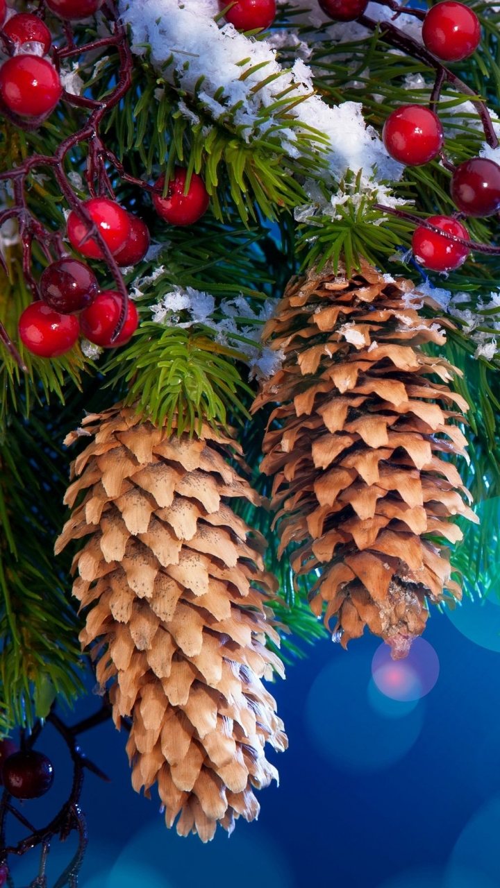 Download mobile wallpaper Christmas, Holiday, Berry, Pine Cone for free.