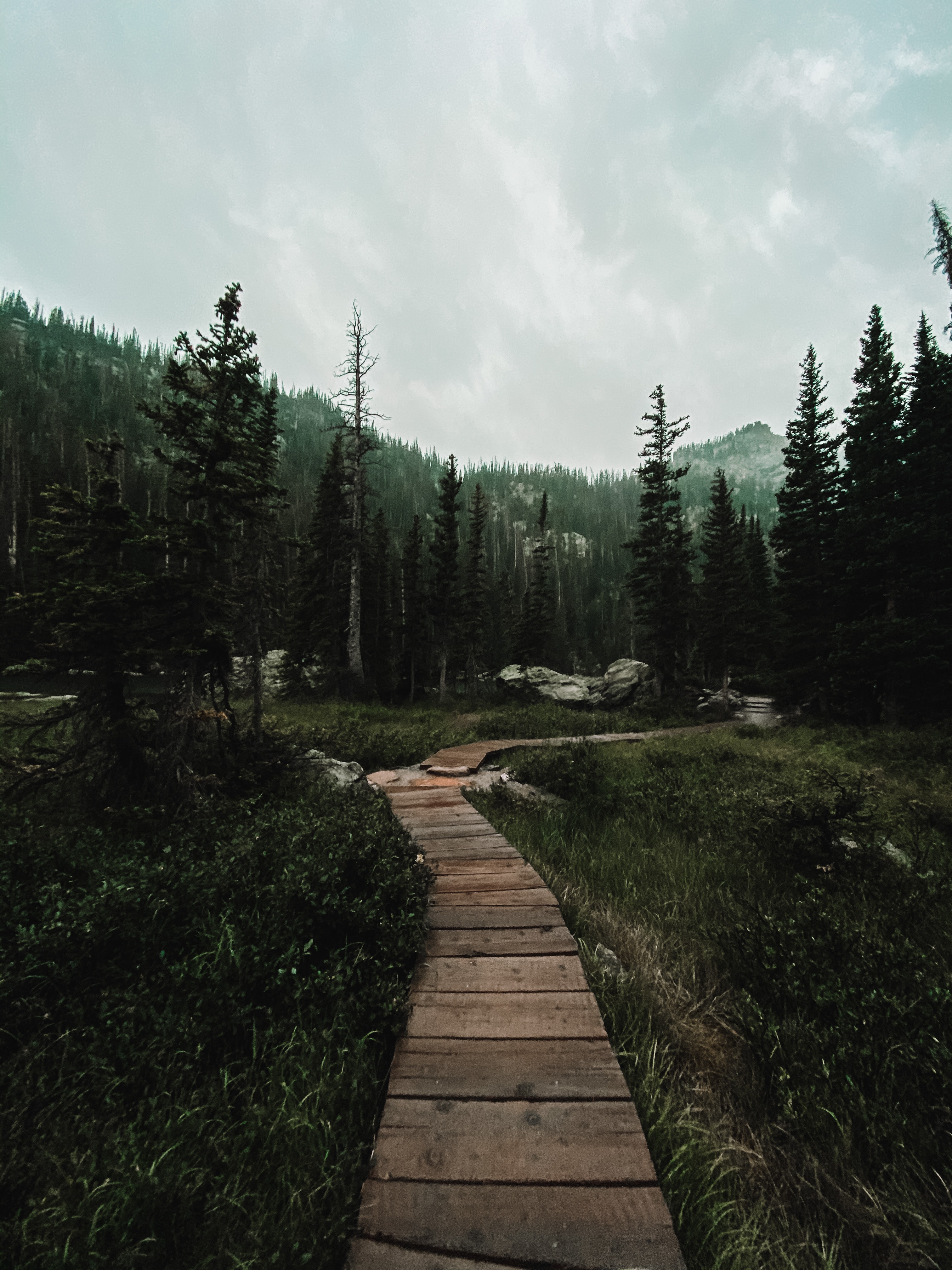 Free download wallpaper Forest, Path, Nature, Mountains, Landscape on your PC desktop