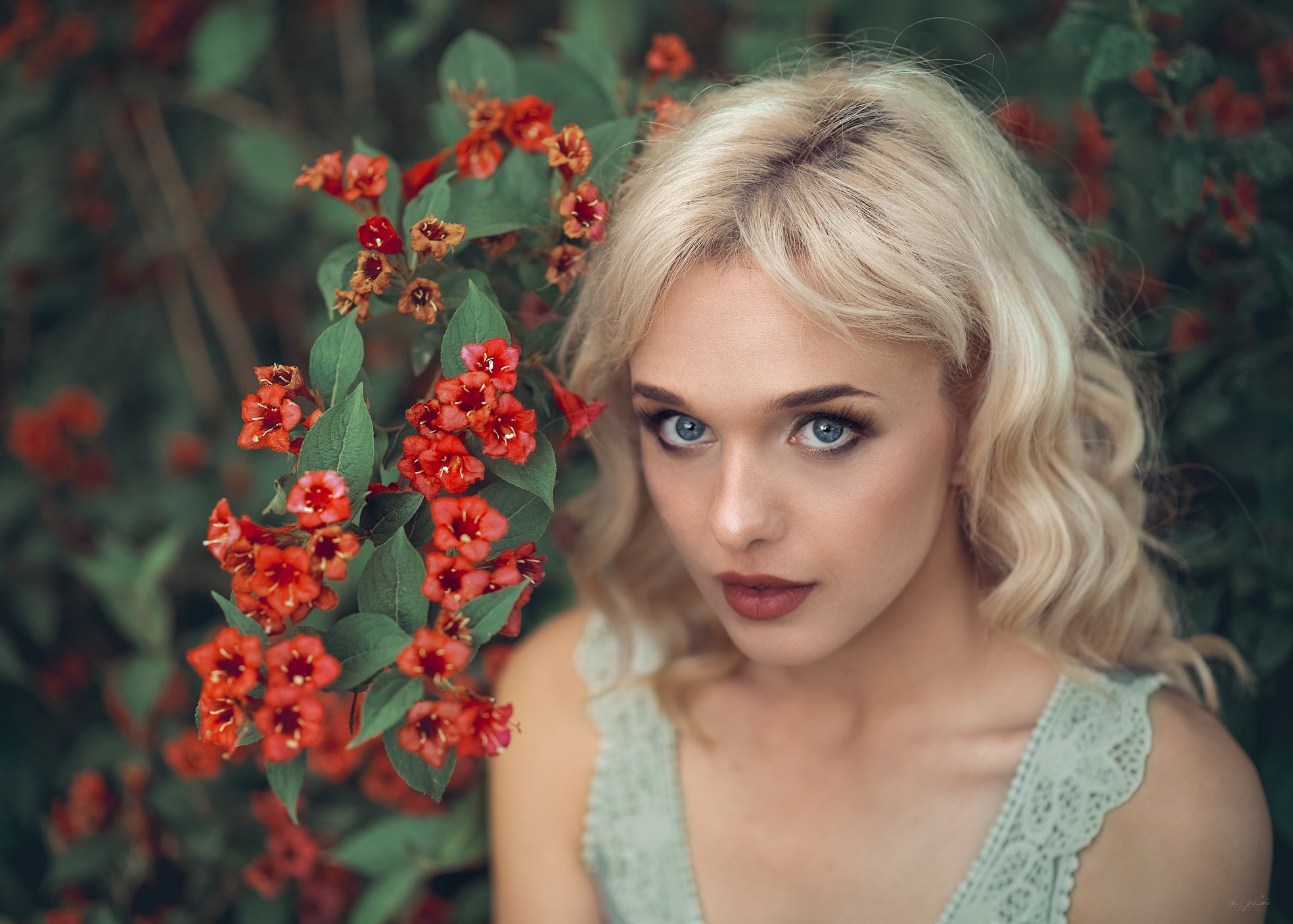 Free download wallpaper Blonde, Face, Model, Women, Blue Eyes, Red Flower, Lipstick on your PC desktop