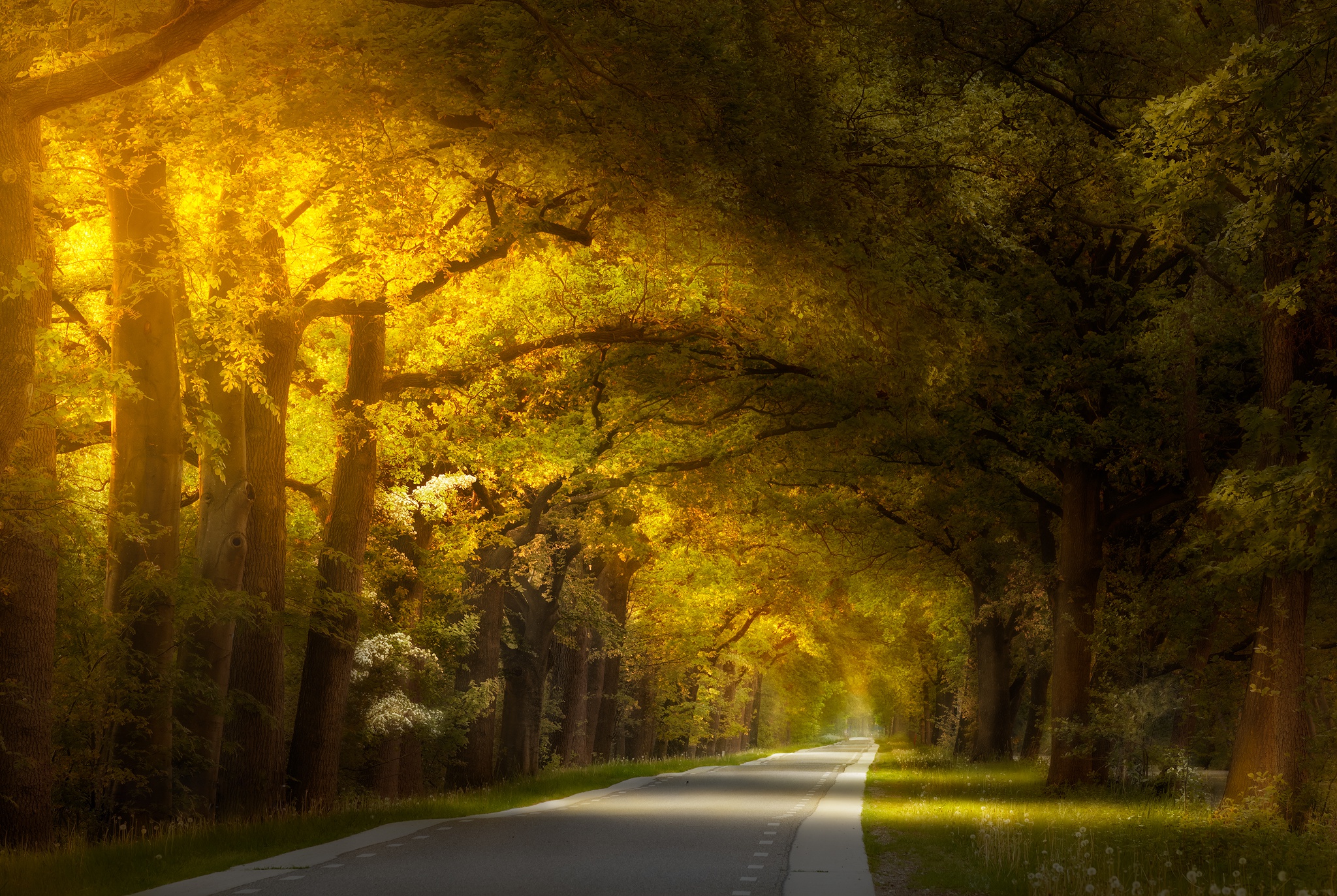 Free download wallpaper Nature, Road, Man Made on your PC desktop