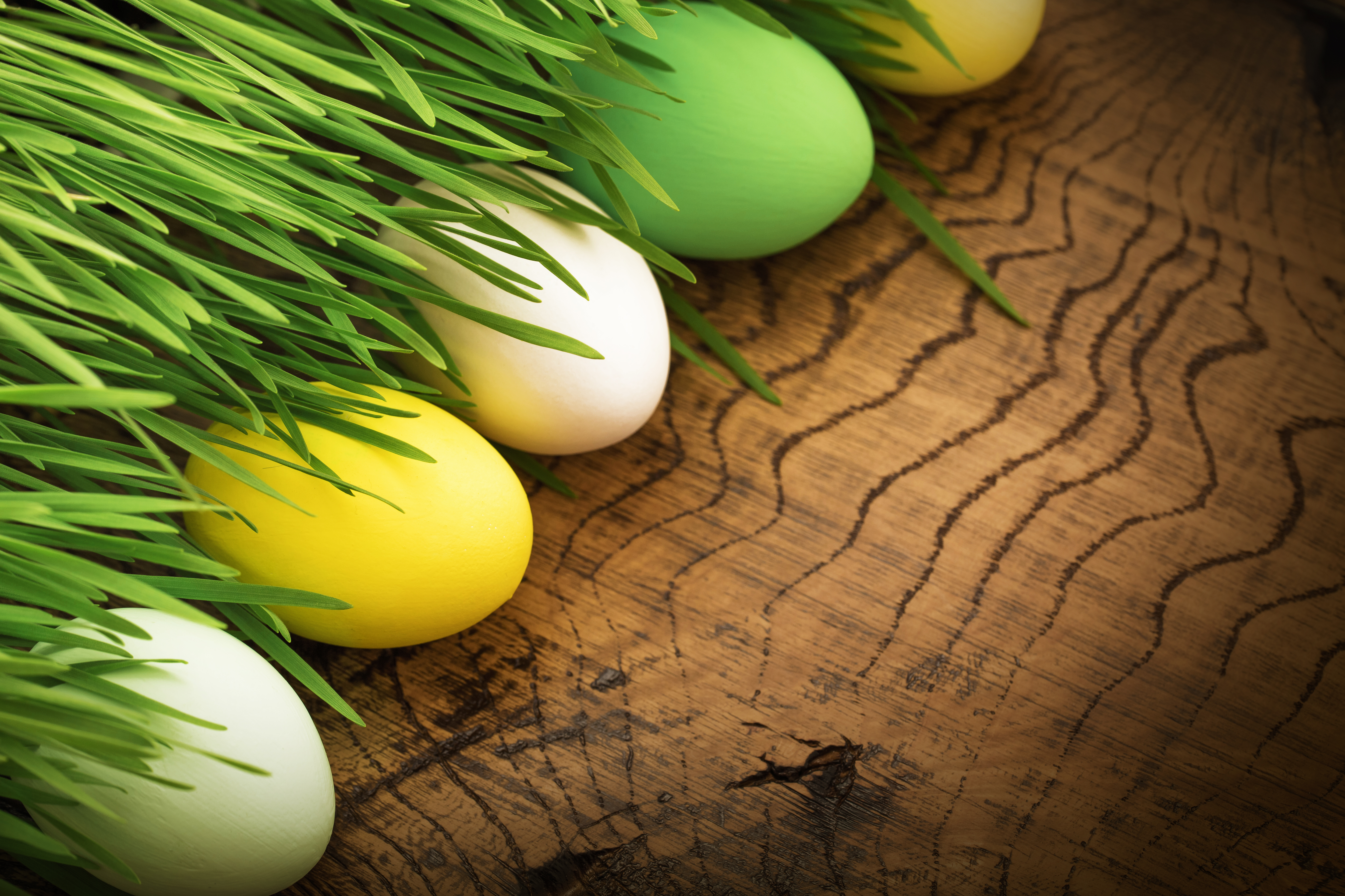 Descarga gratis la imagen Hierba, Pascua, Día Festivo, Huevo De Pascua en el escritorio de tu PC