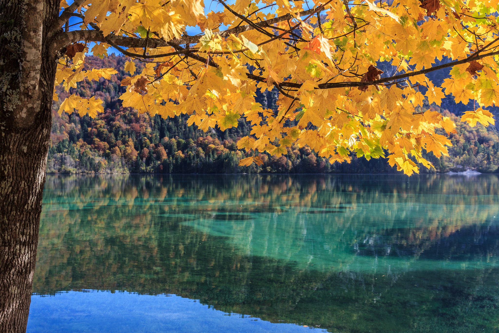 Скачать обои бесплатно Осень, Озера, Озеро, Отражение, Ветка, Земля/природа картинка на рабочий стол ПК
