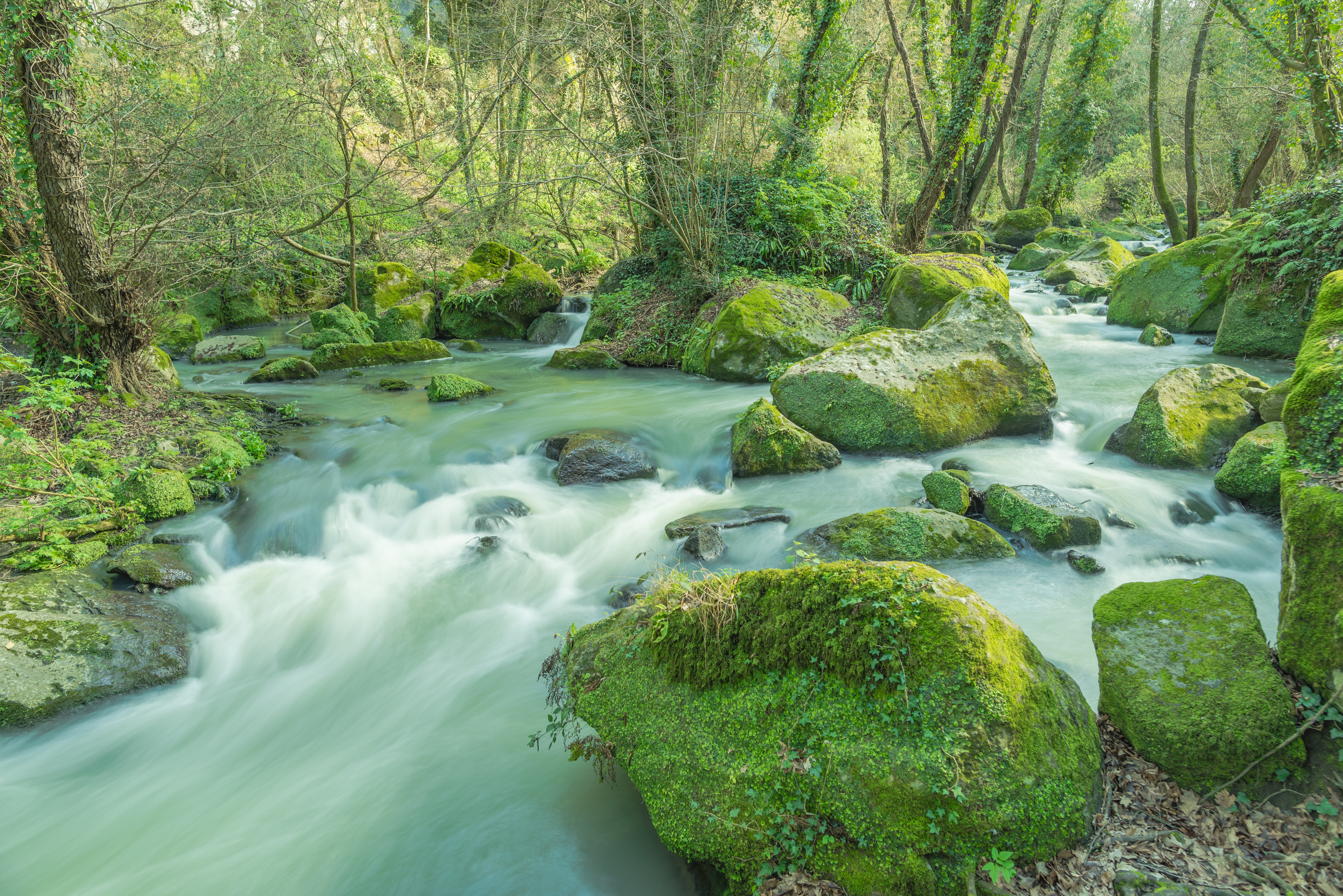 Free download wallpaper Nature, Earth, Moss, Stream on your PC desktop
