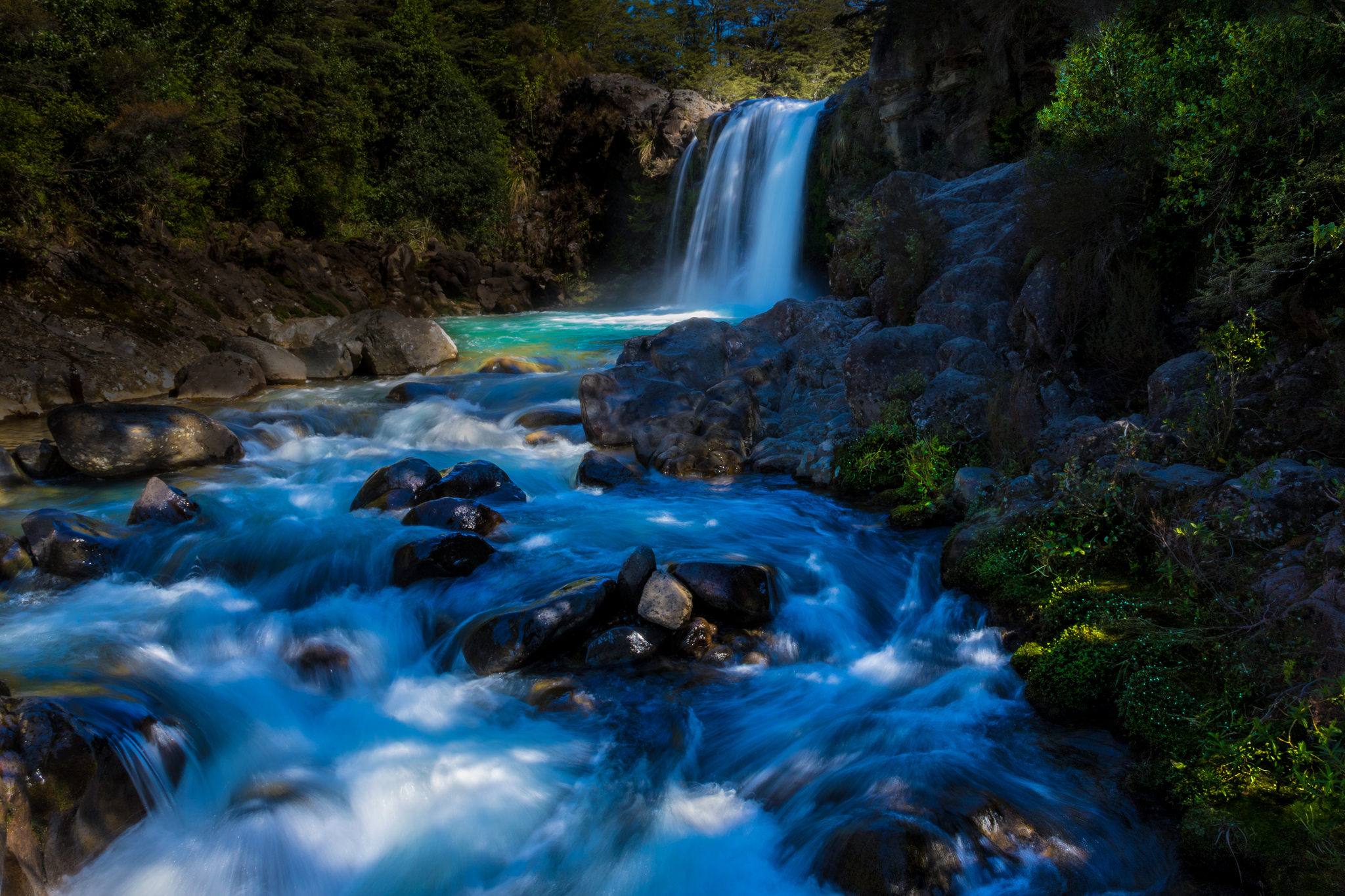 Free download wallpaper Waterfalls, New Zealand, Waterfall, Forest, Earth on your PC desktop