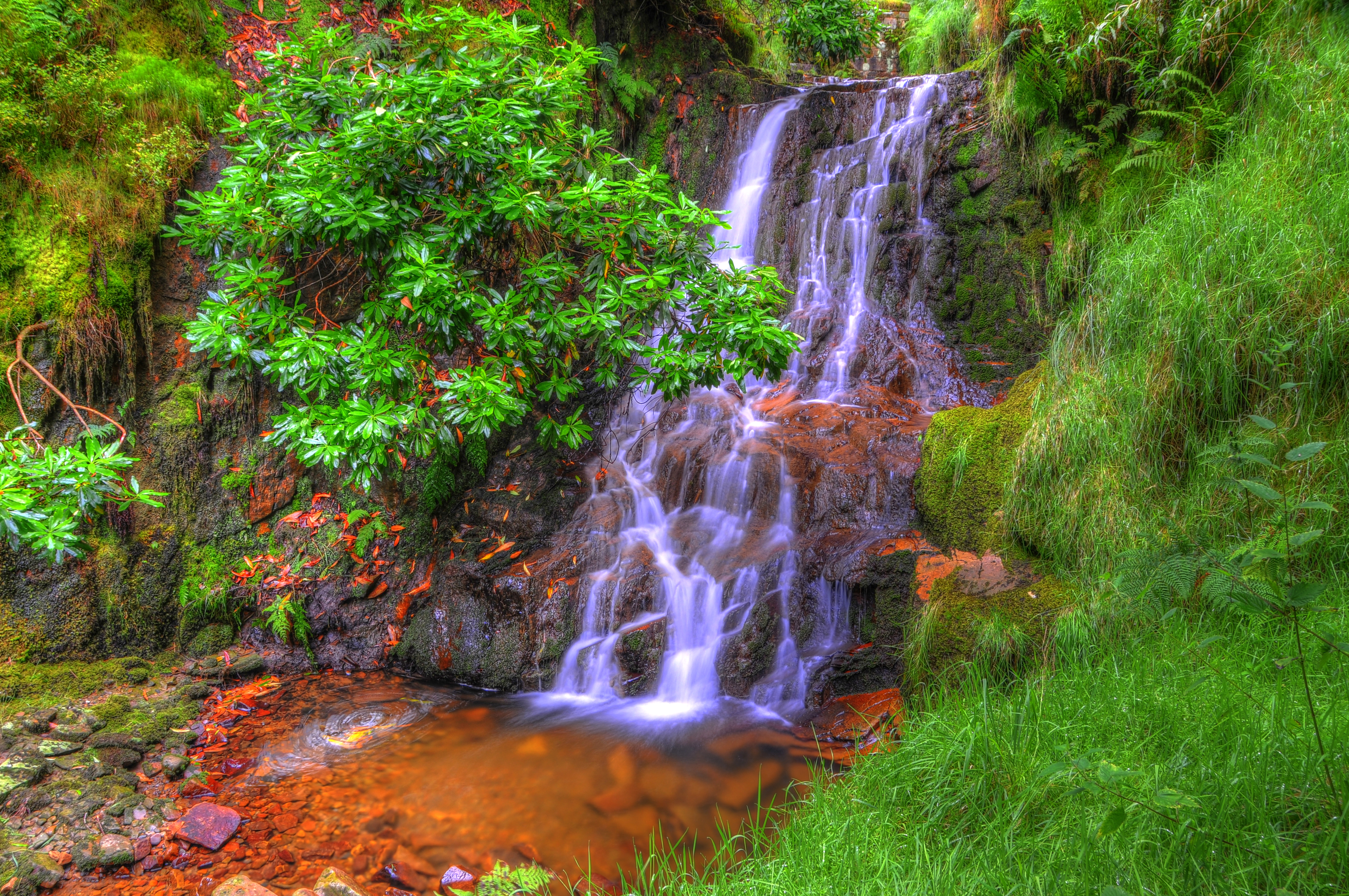 Download mobile wallpaper Waterfall, Forest, Tree, Hdr, Photography for free.